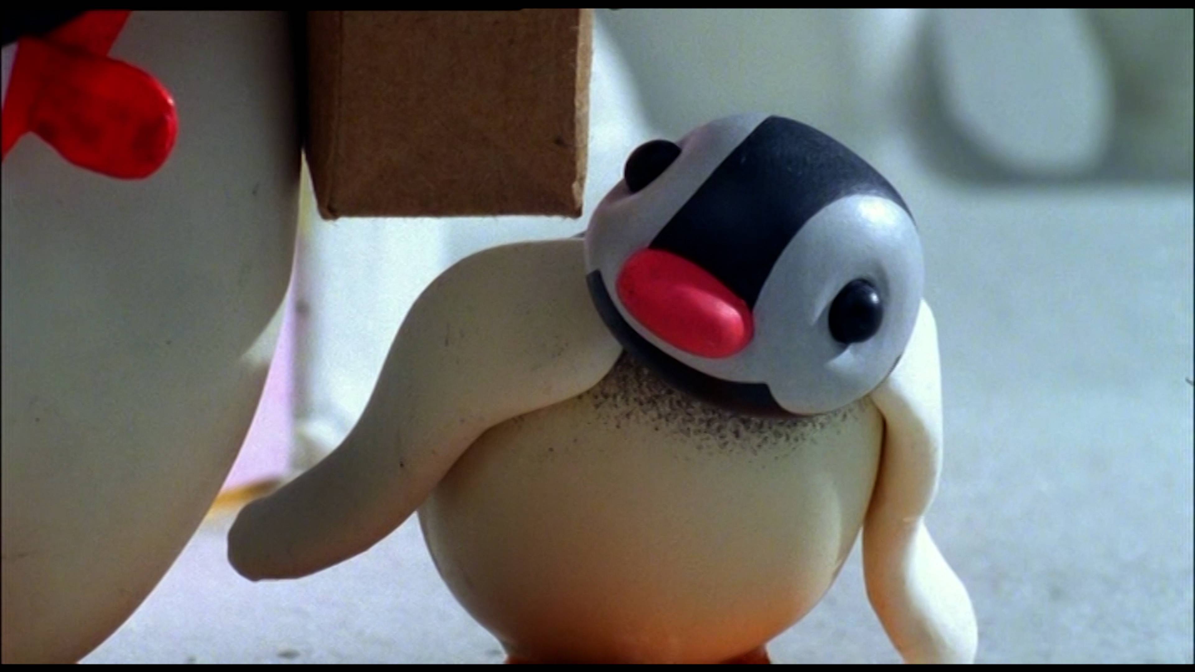 لايك فاذر لايك بنغو / بامبرينغ بنغو