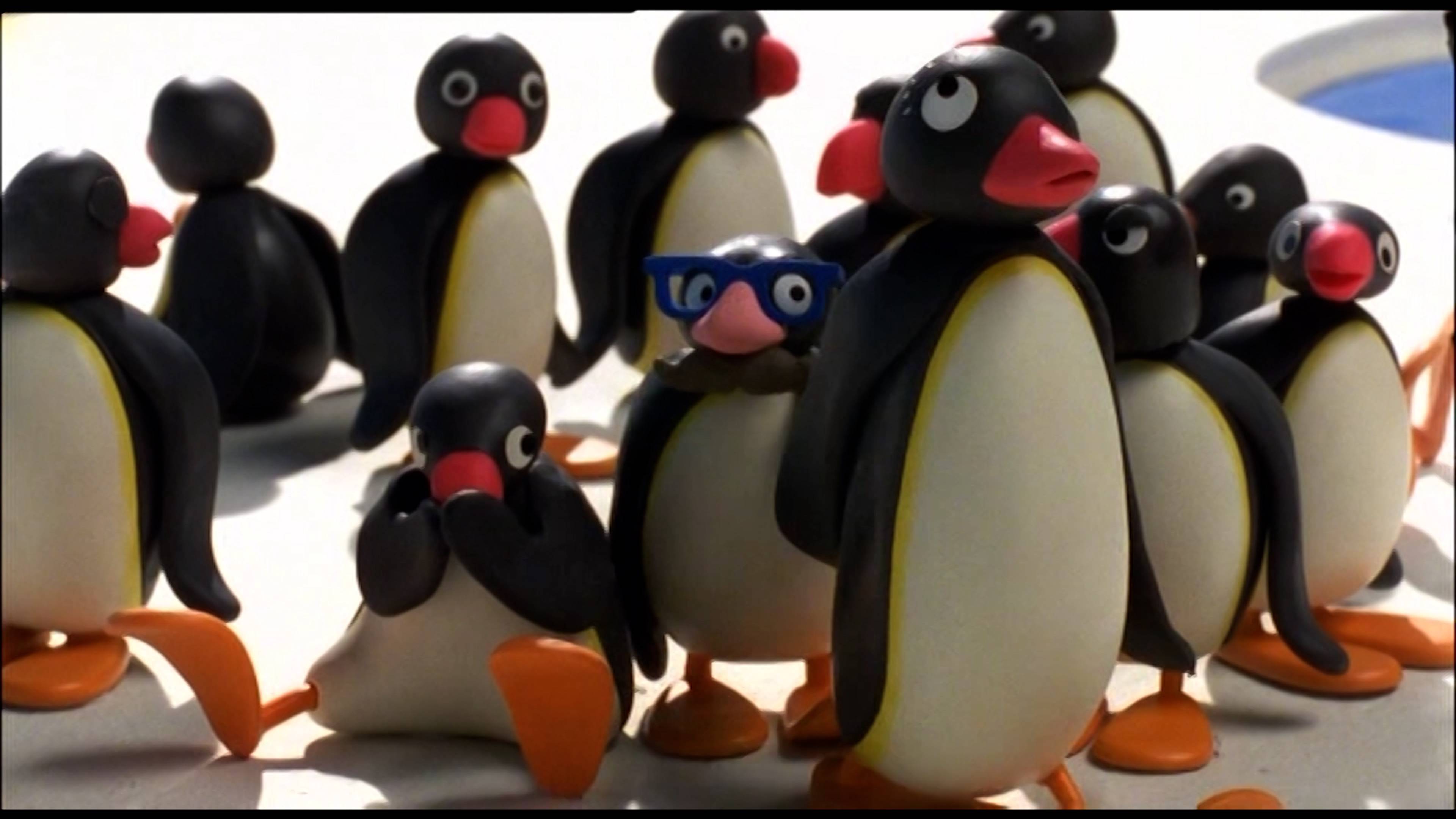 بينغو أند ذا بريزنت / بينغو بوغالوو