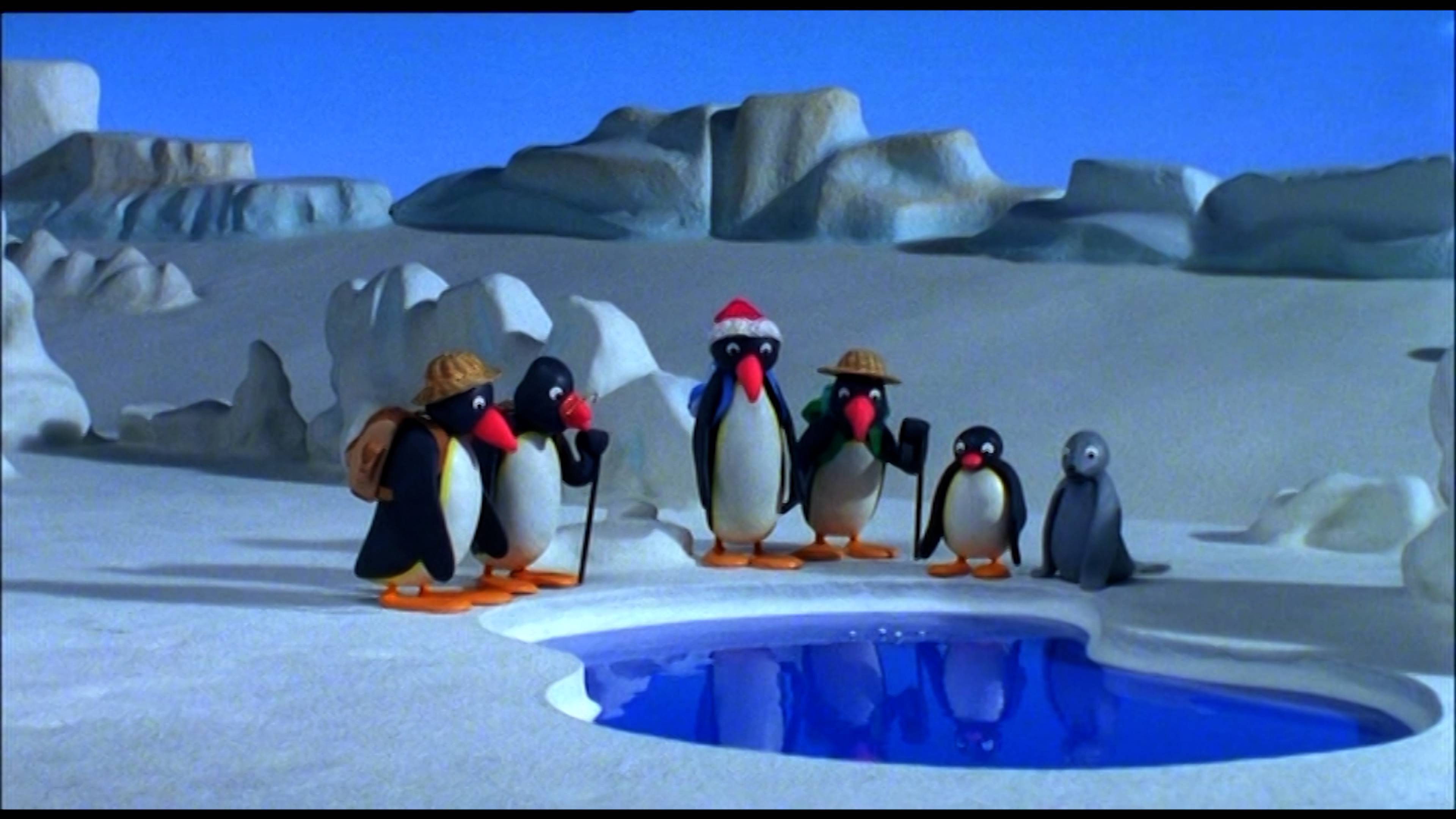 بينجو & ذا فيش فلوت / بور بينجو