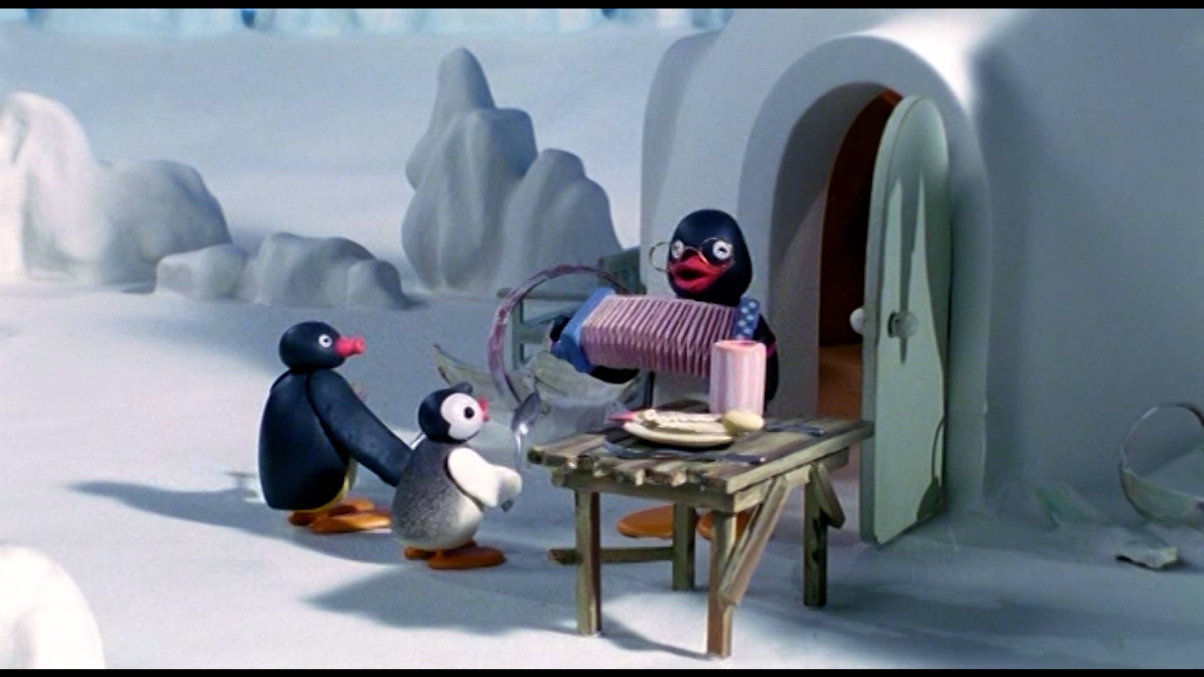 سور تومي بينغو / بينغو آند ذا باند