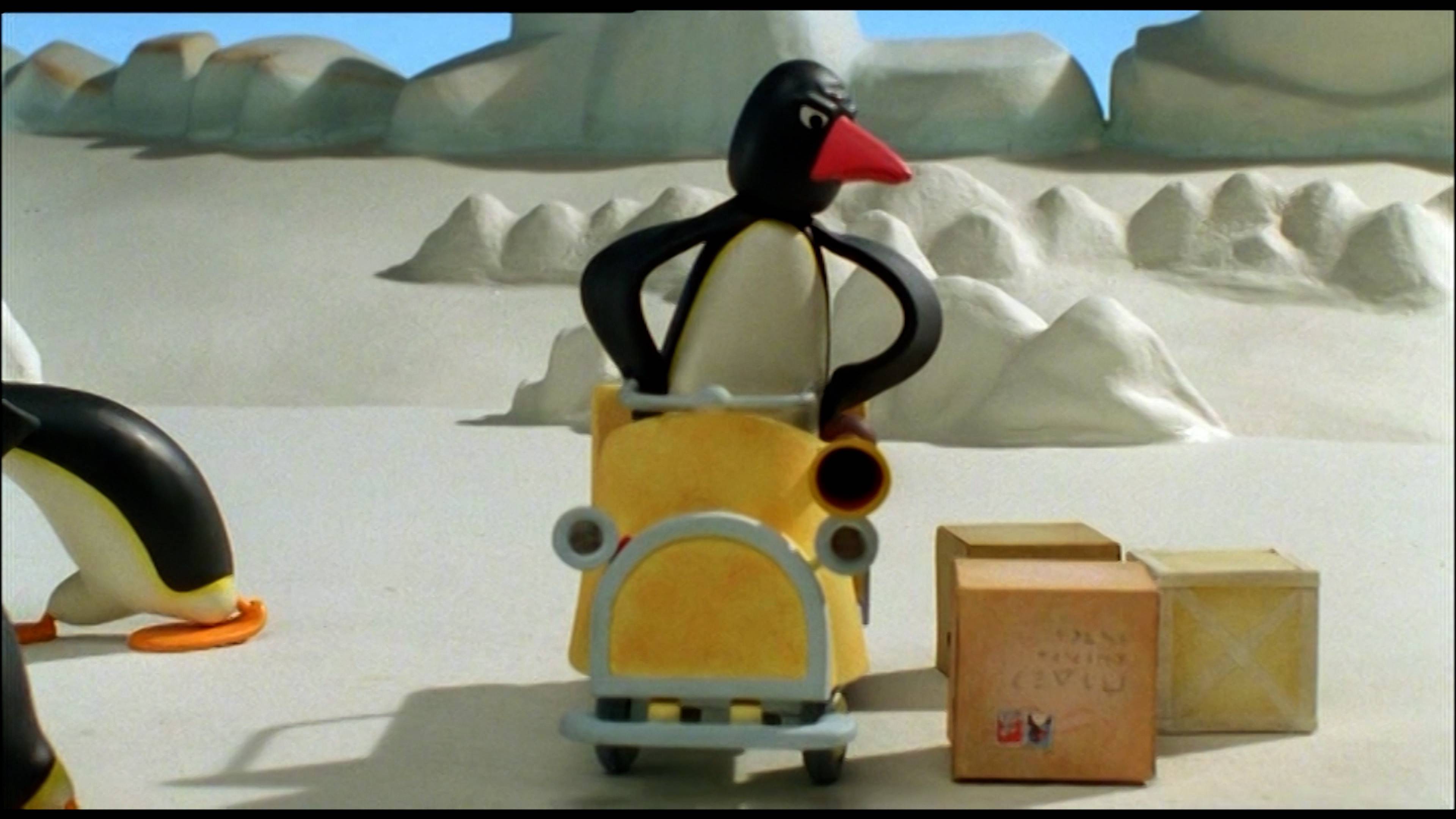 بينغووز بانكيكز / بوتري بينغو