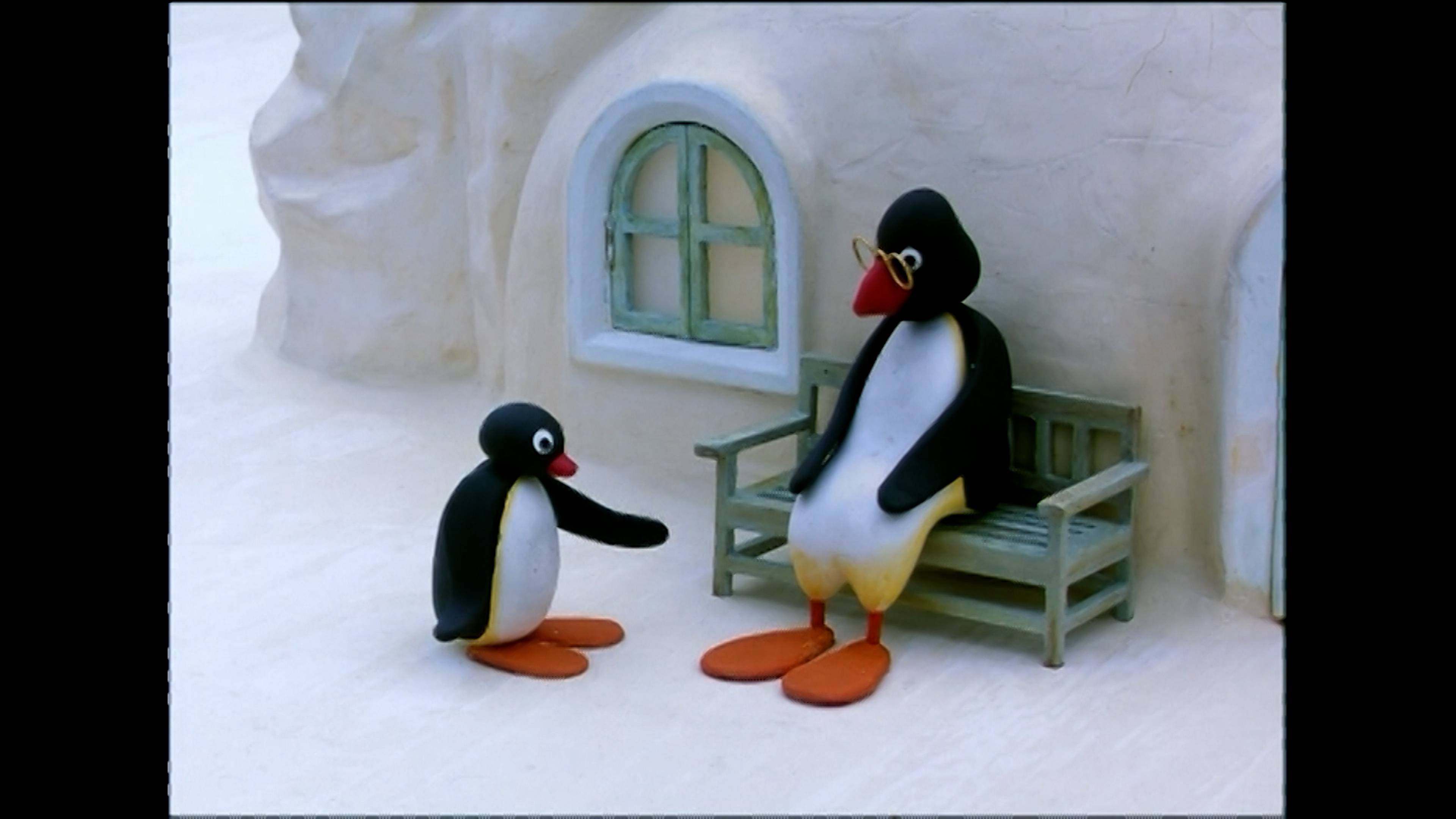 Pingu and the toy / Pingu's fishing competition