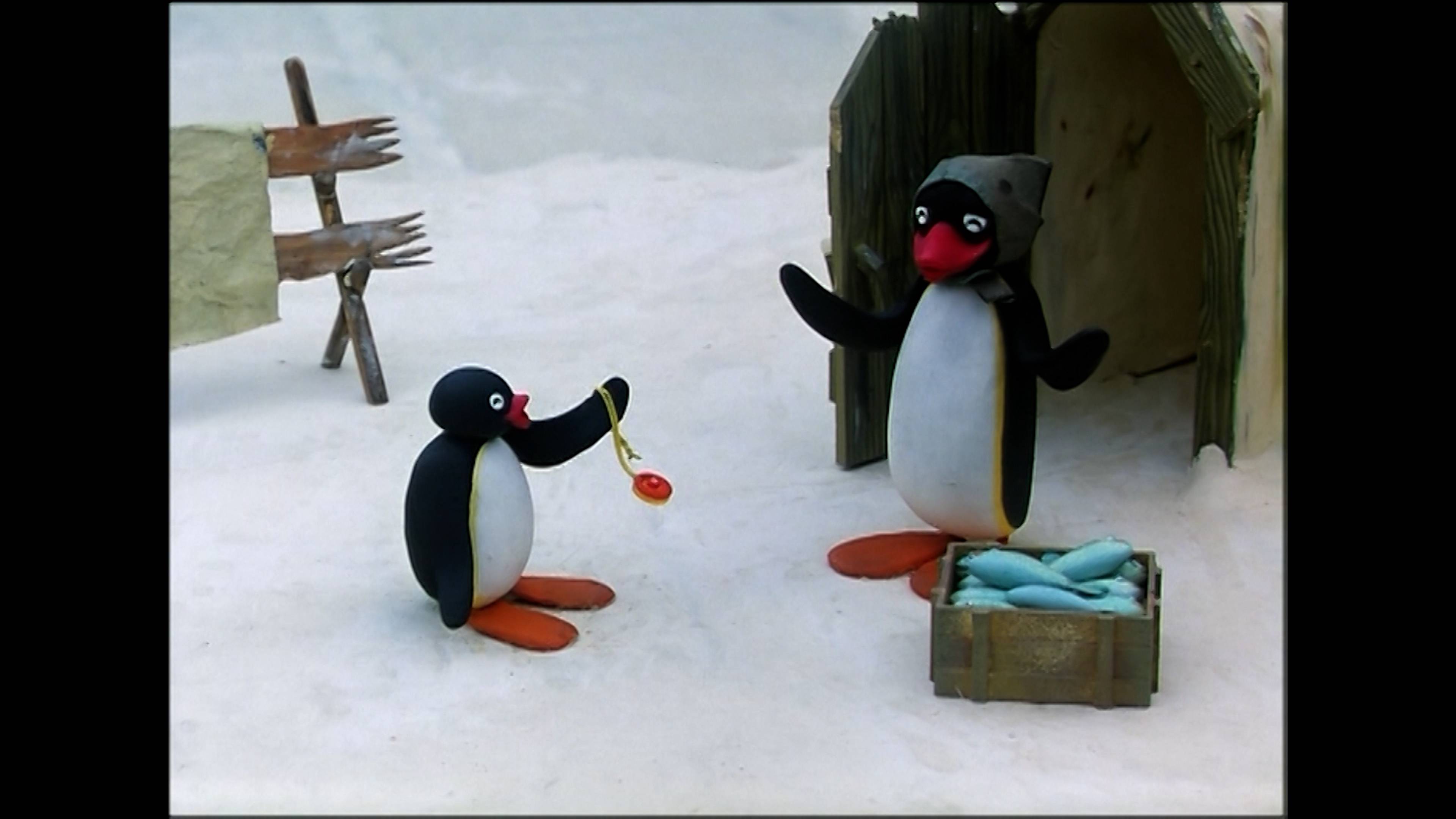 بينغو دراز إي وينر / بينغو اند ذا بوستكارد