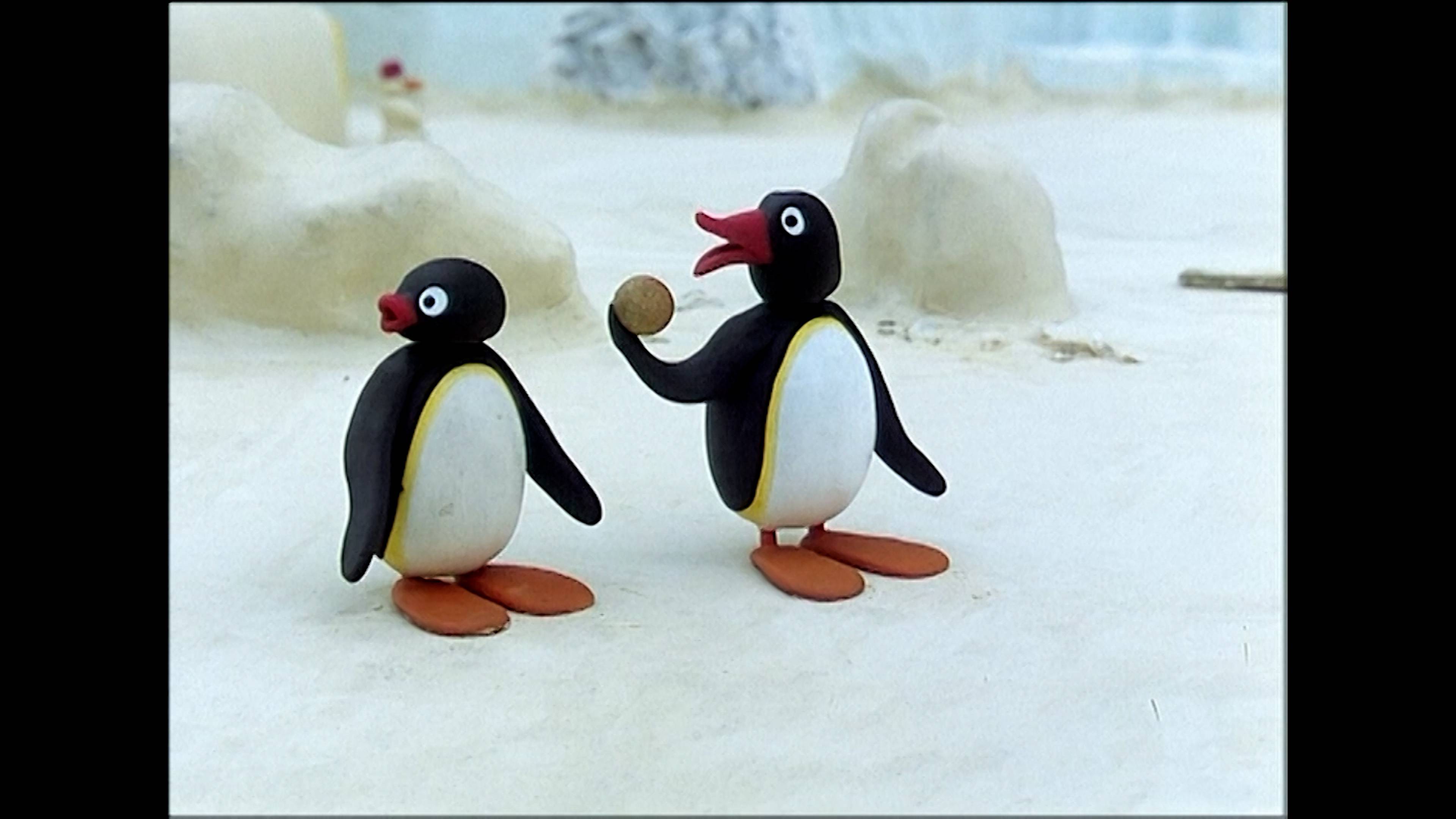 بينجو جتس أ وارننج / بينجو أند ذا ماغنت