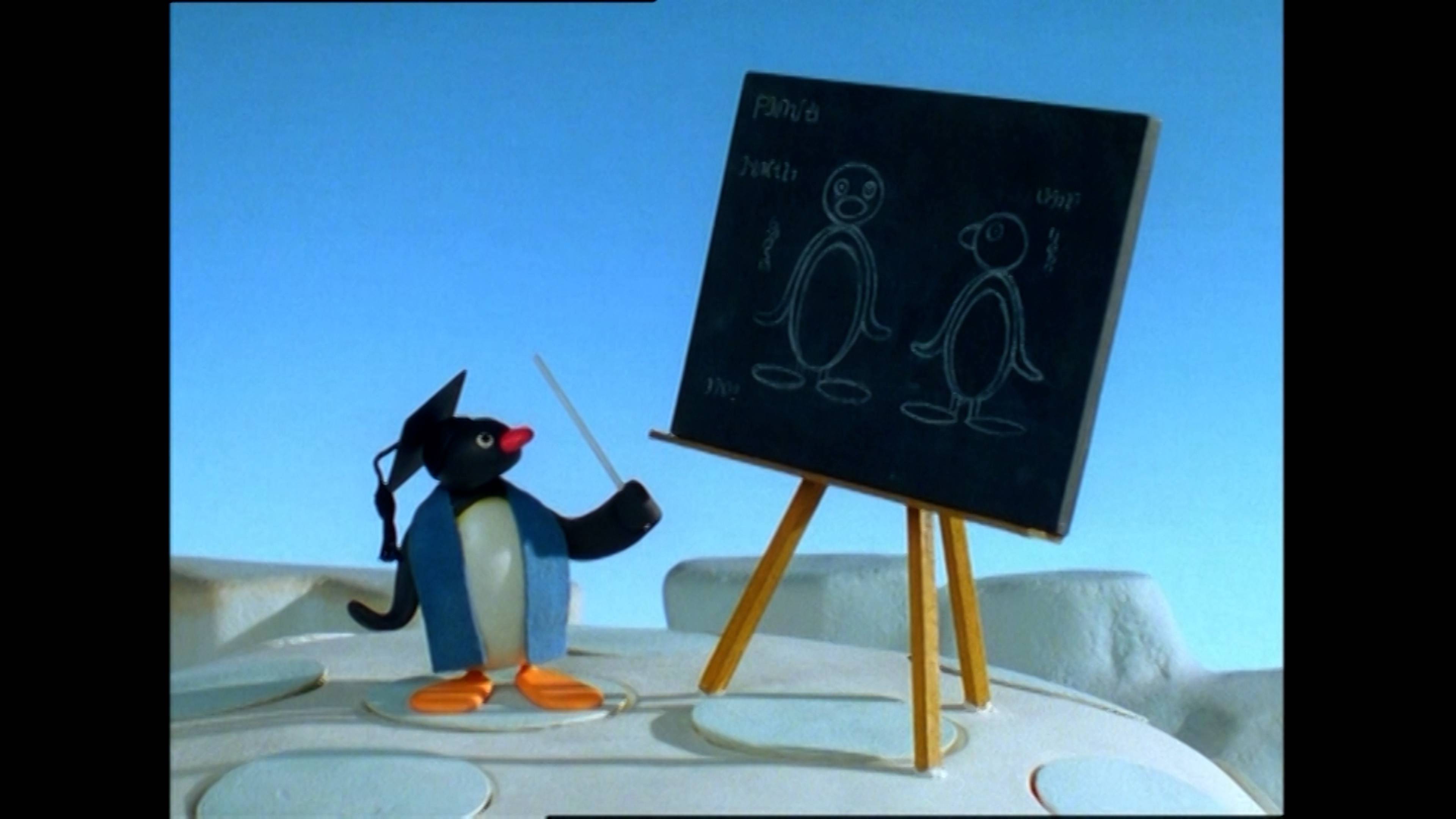 بينجو تيزس هيس سيستر / بينجو'س وش