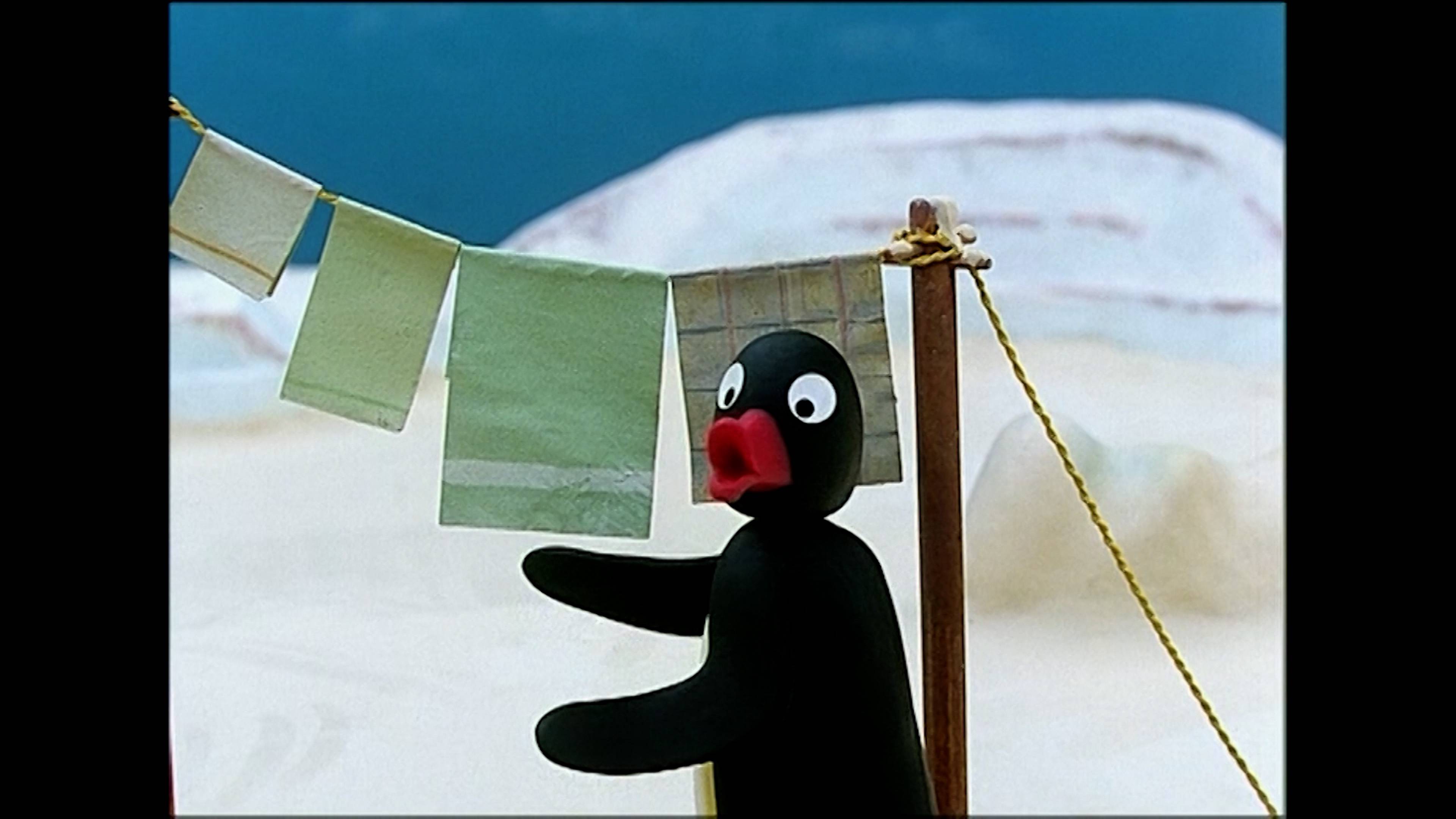 بينغو هاز أن أيديا / بينغو جيتس أورغنايزد