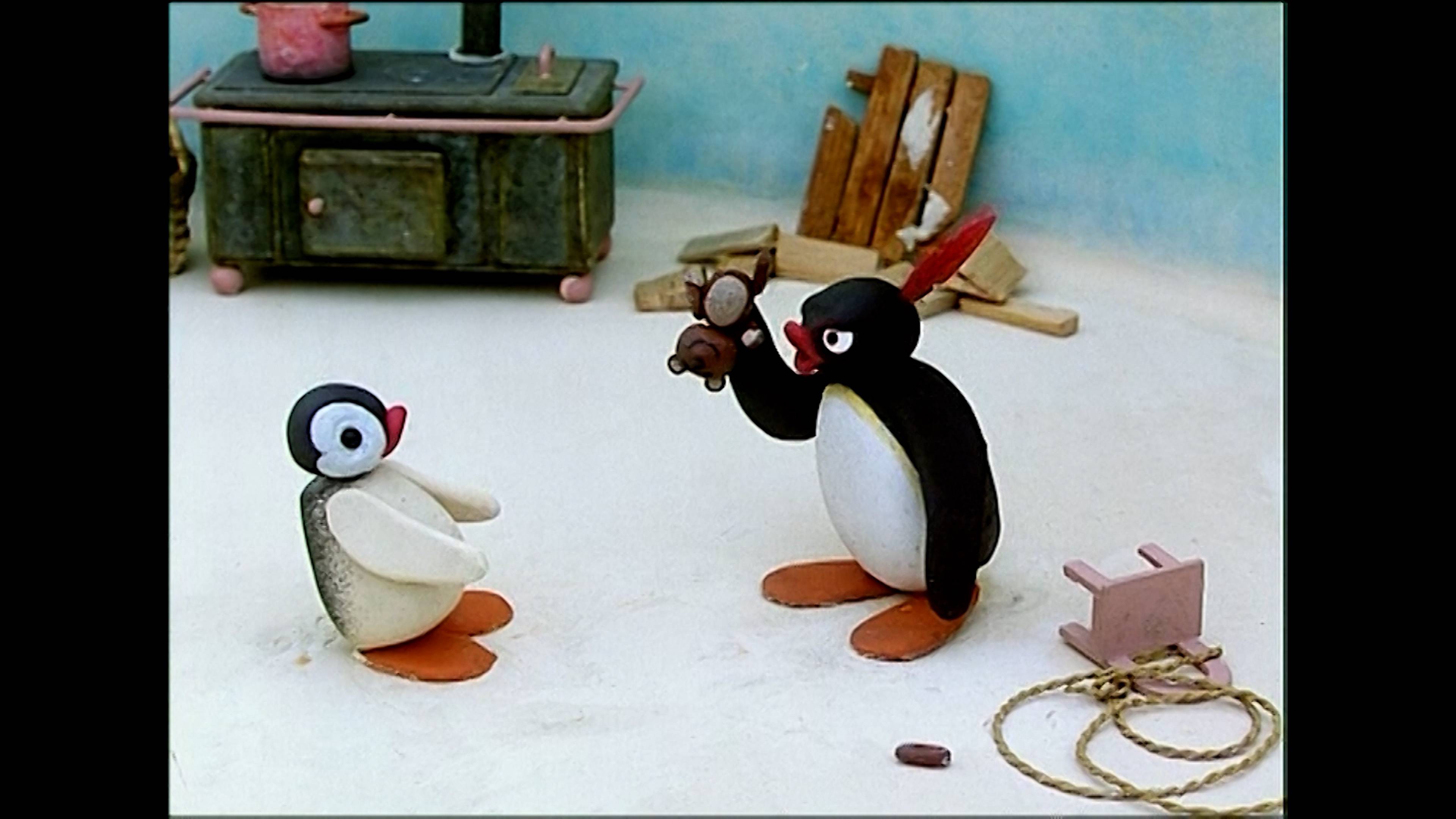 بينغو ذا باكر / بينغو أند ذا دول