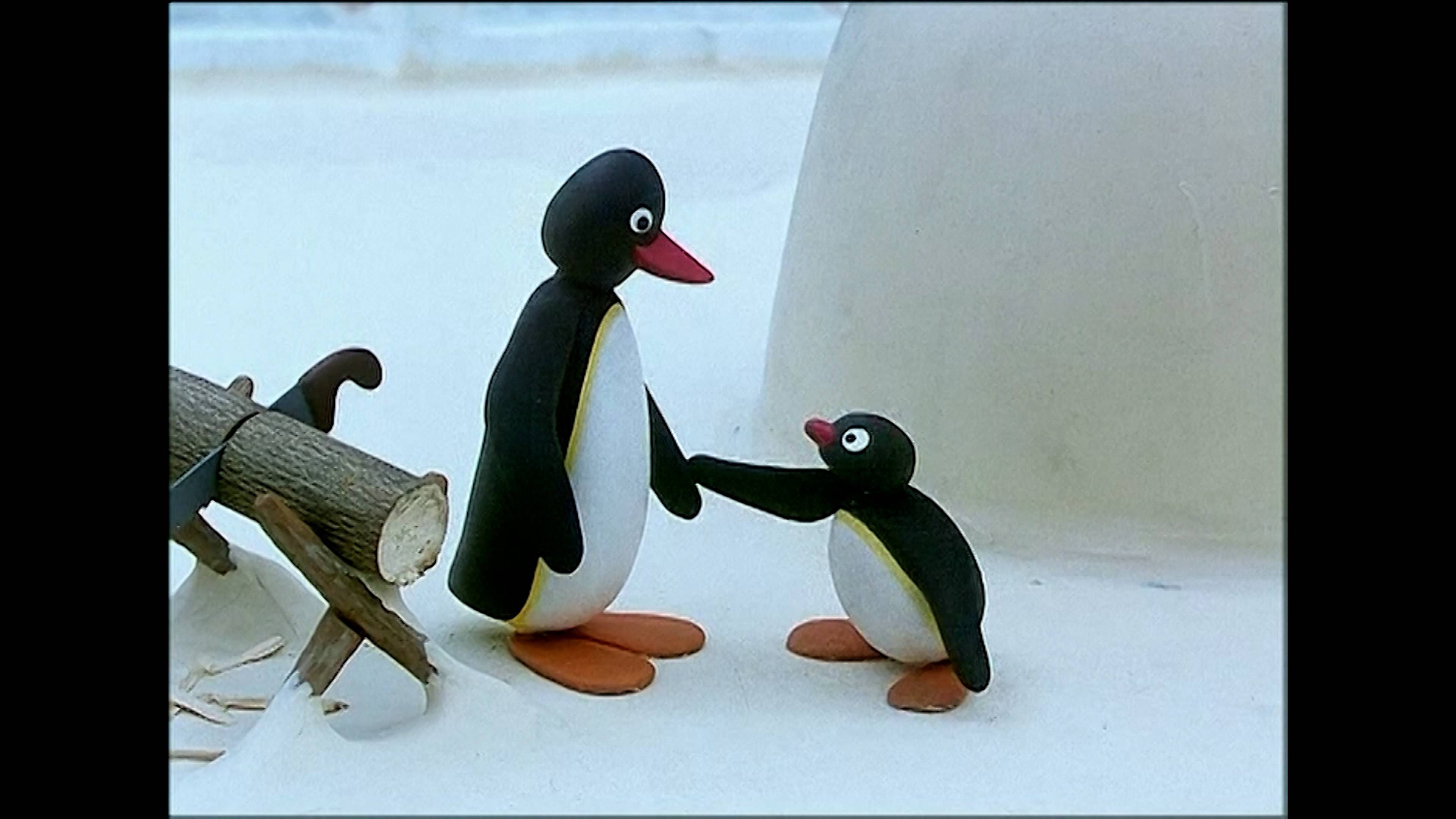 بينغو لوسيز ذا بيت / بينغو اند هز كب