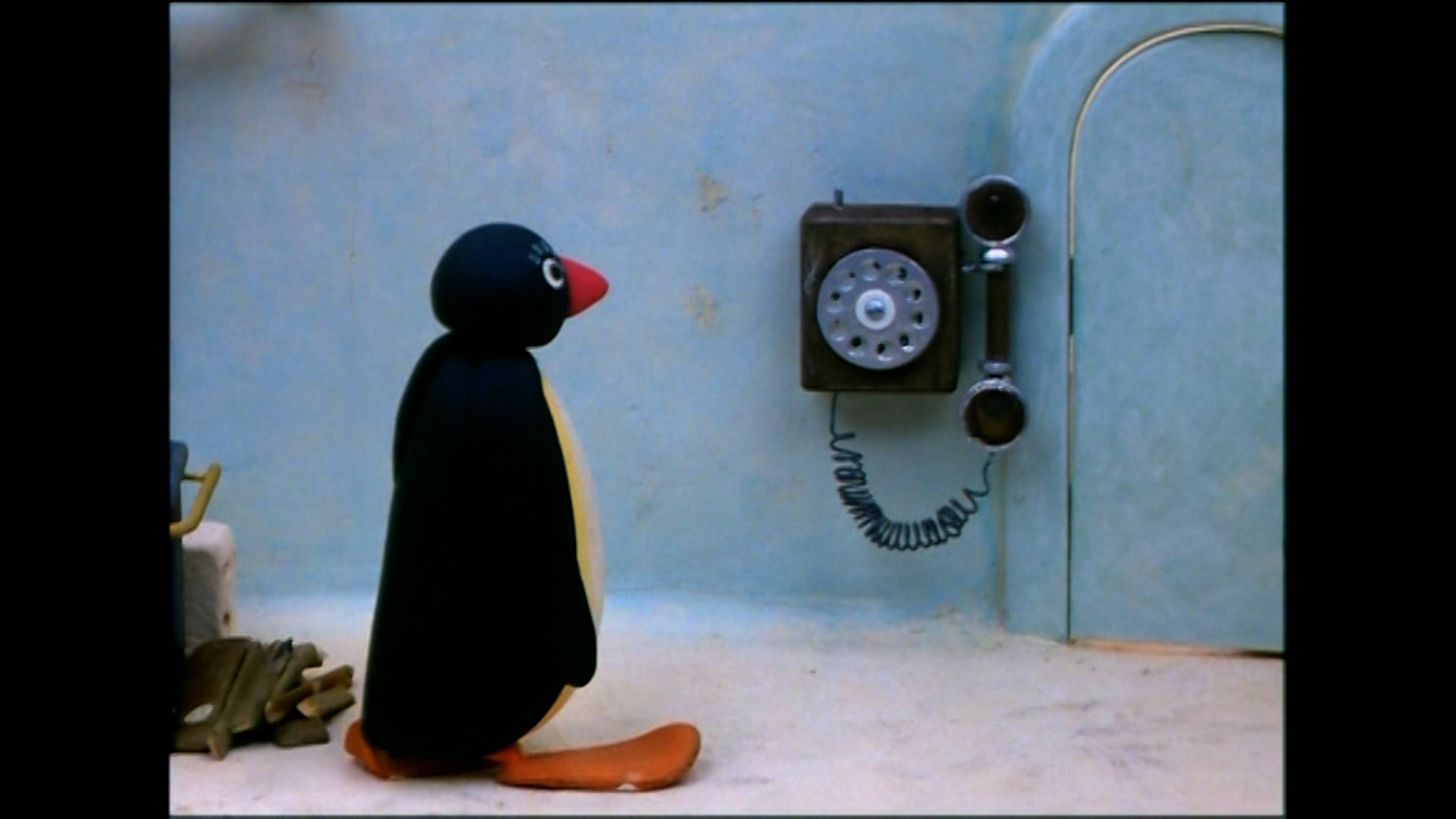 بينغو بلايز ايس هوكي