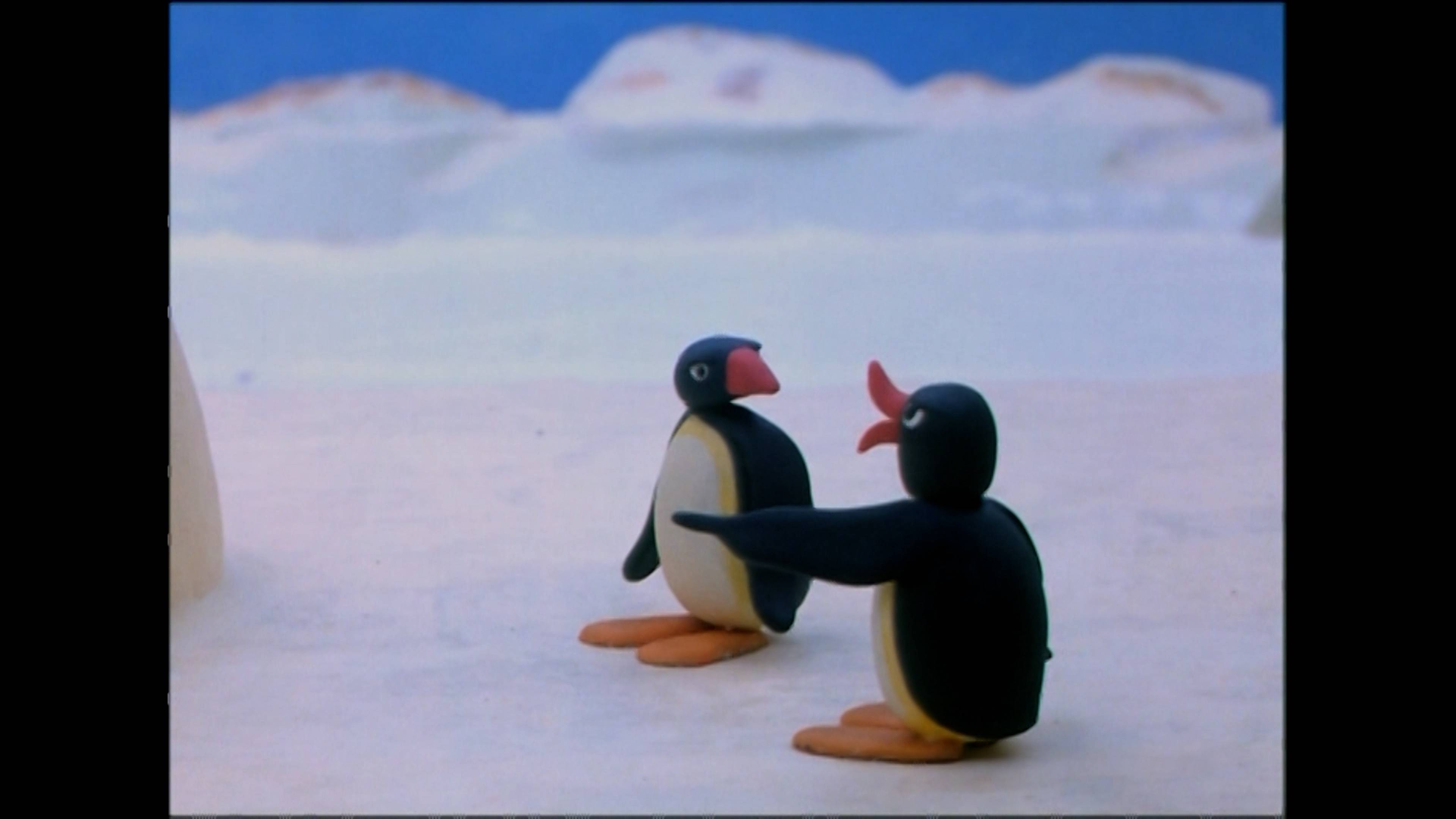 بينجو بيلدز ان ايغلو