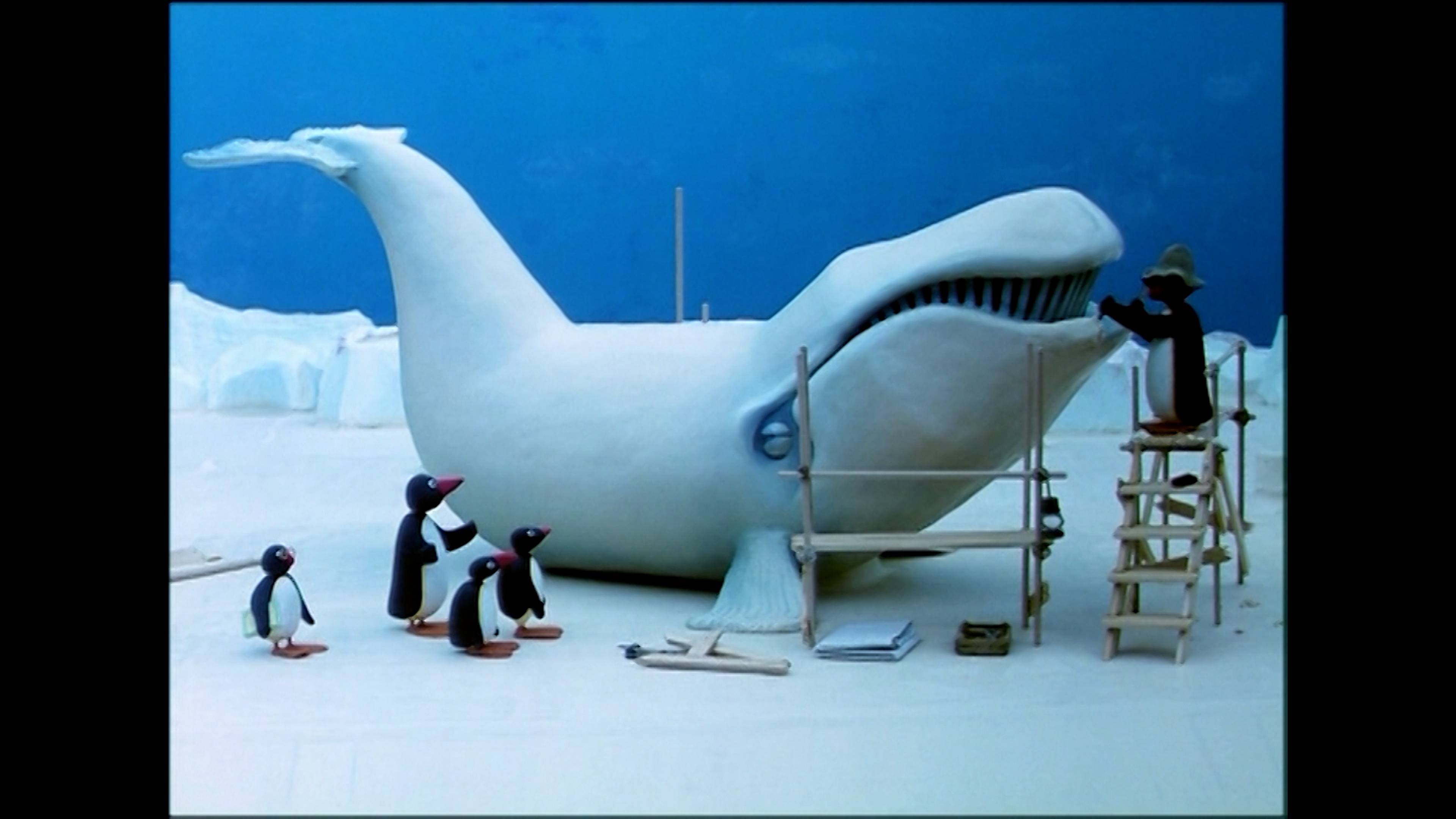 بينغو أند ذا كاميرا / بينغو أند ذا سكول تريب