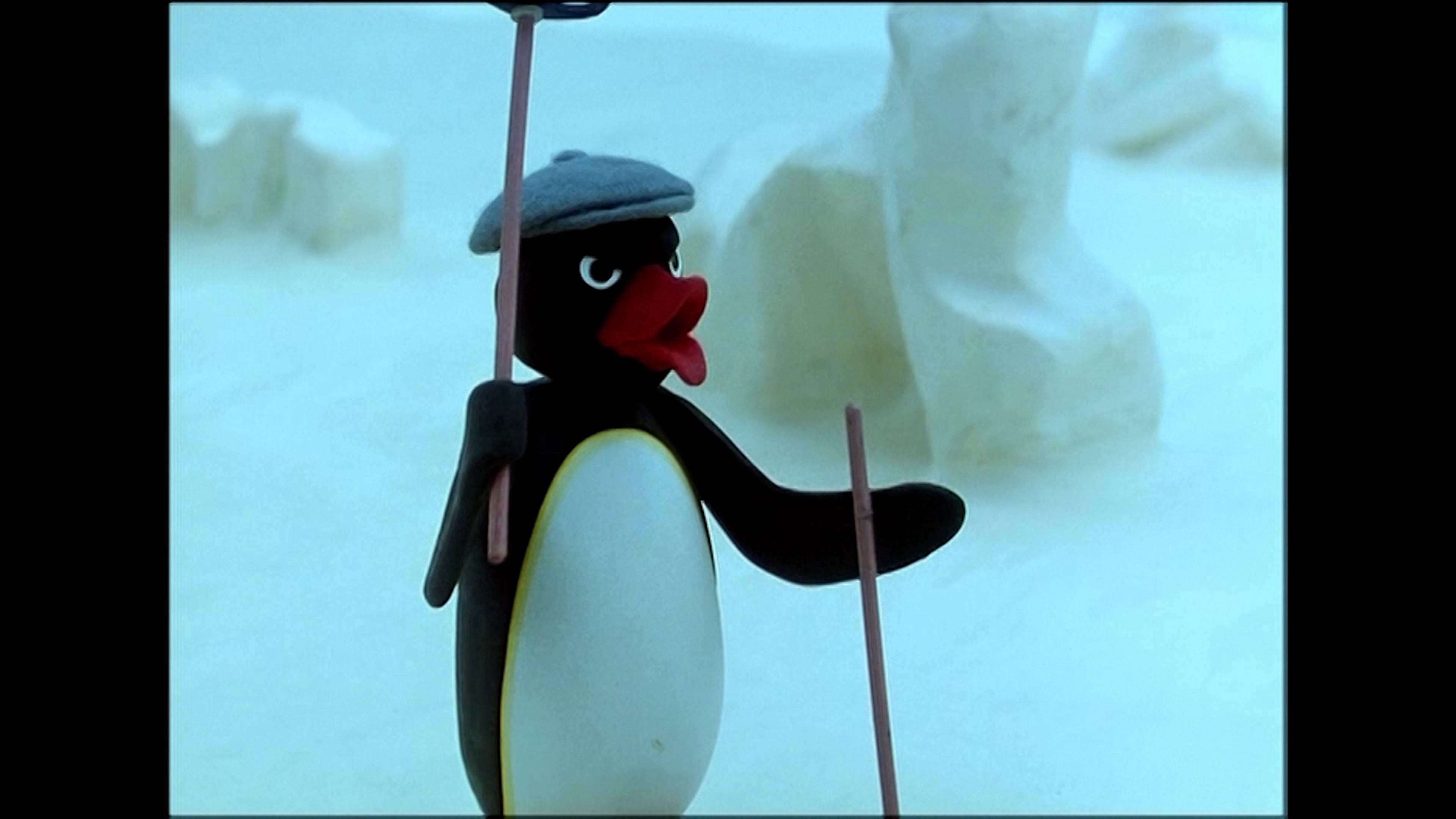 بينغو'ز هوسبيتال فيزيت