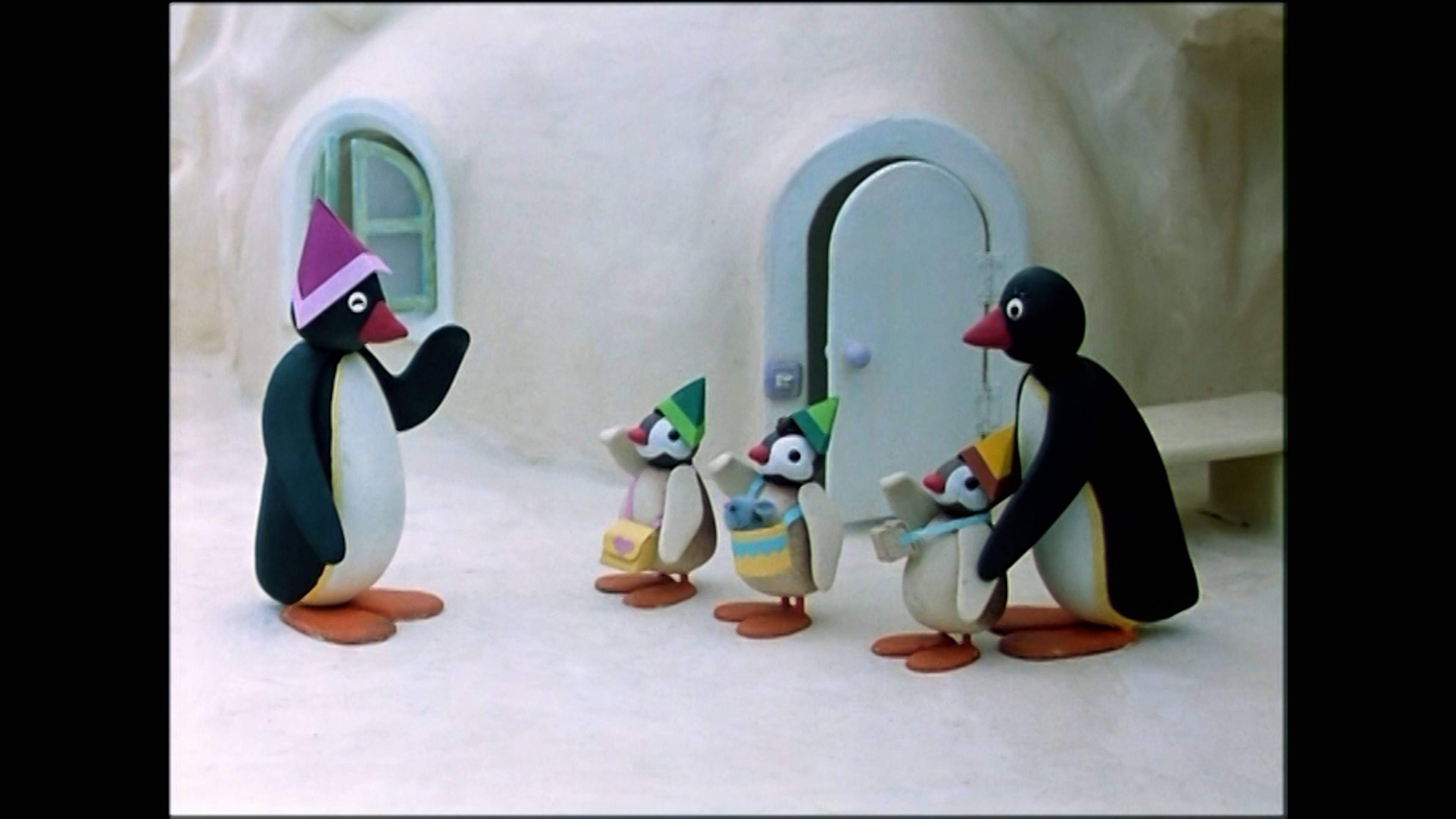 بينغو فيزيتس ذا كيندرغارتن / بينغو بيغ تريب