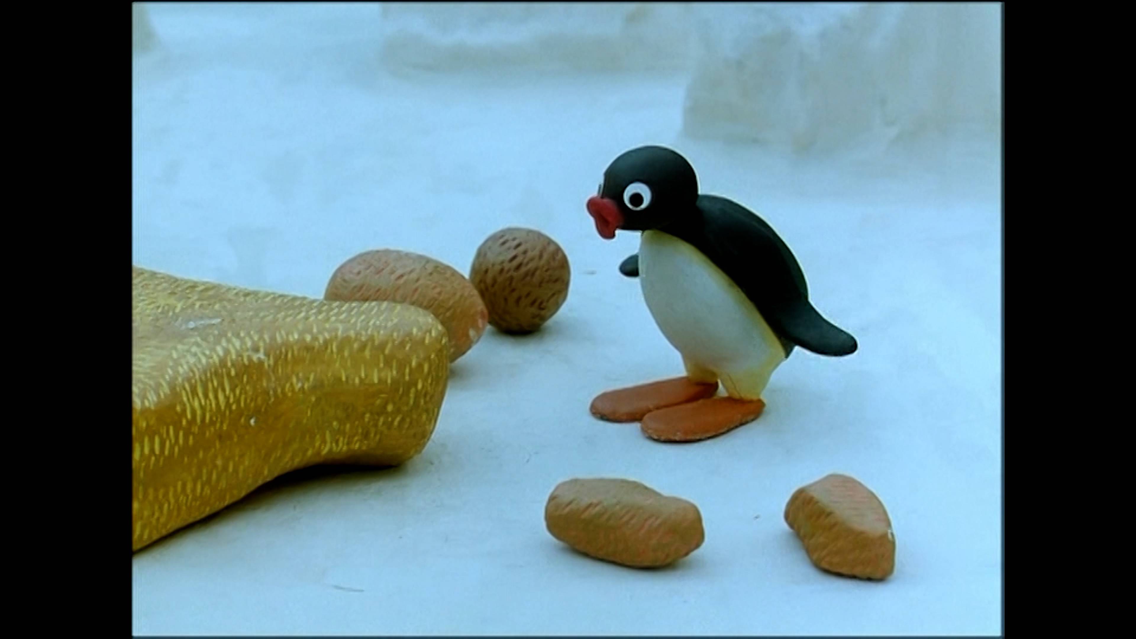 بينغوَز ميوزيم فيزيت / بينغو ذا بينتر