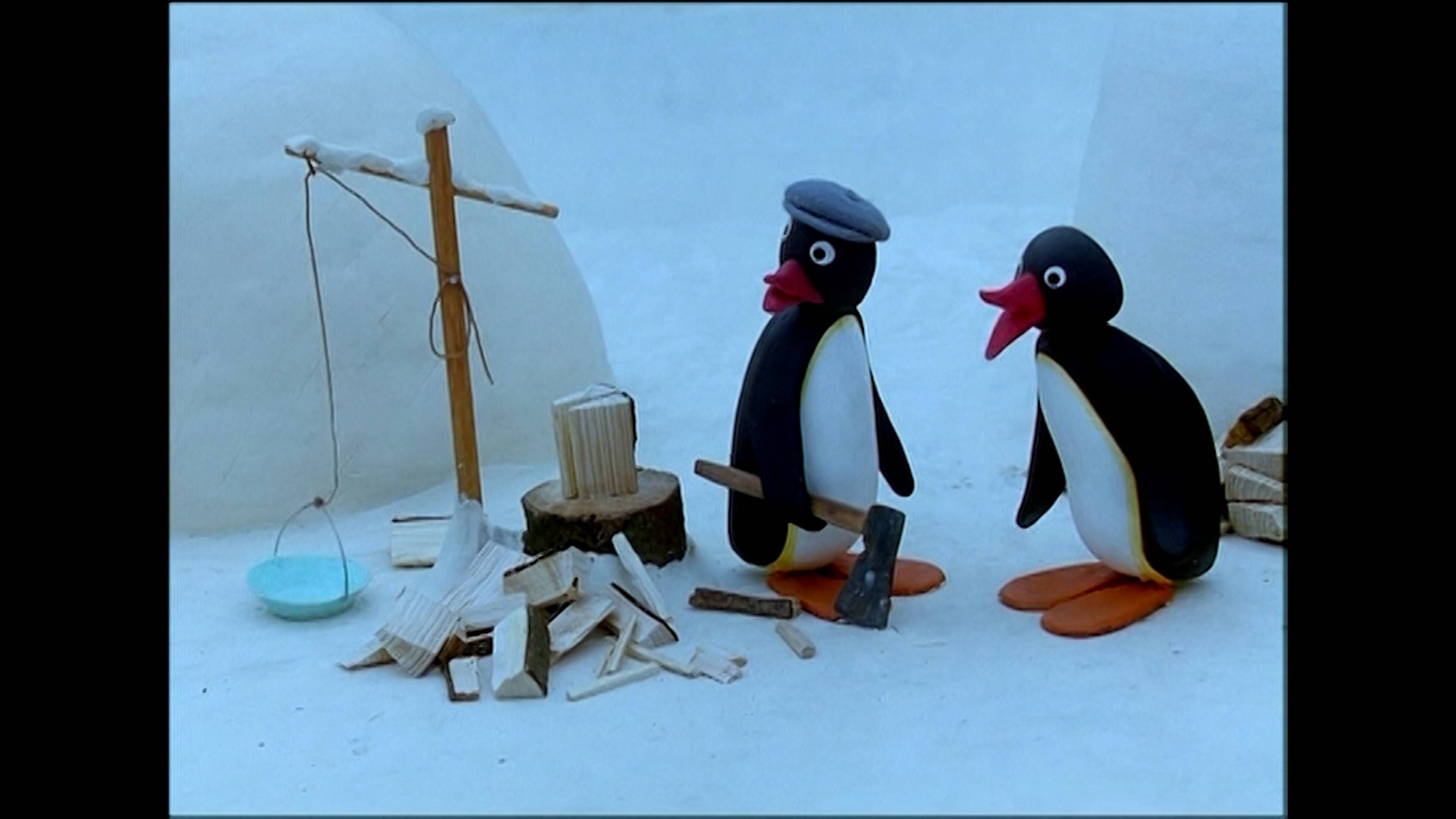 بينجو أند ذا بيردز ماذر