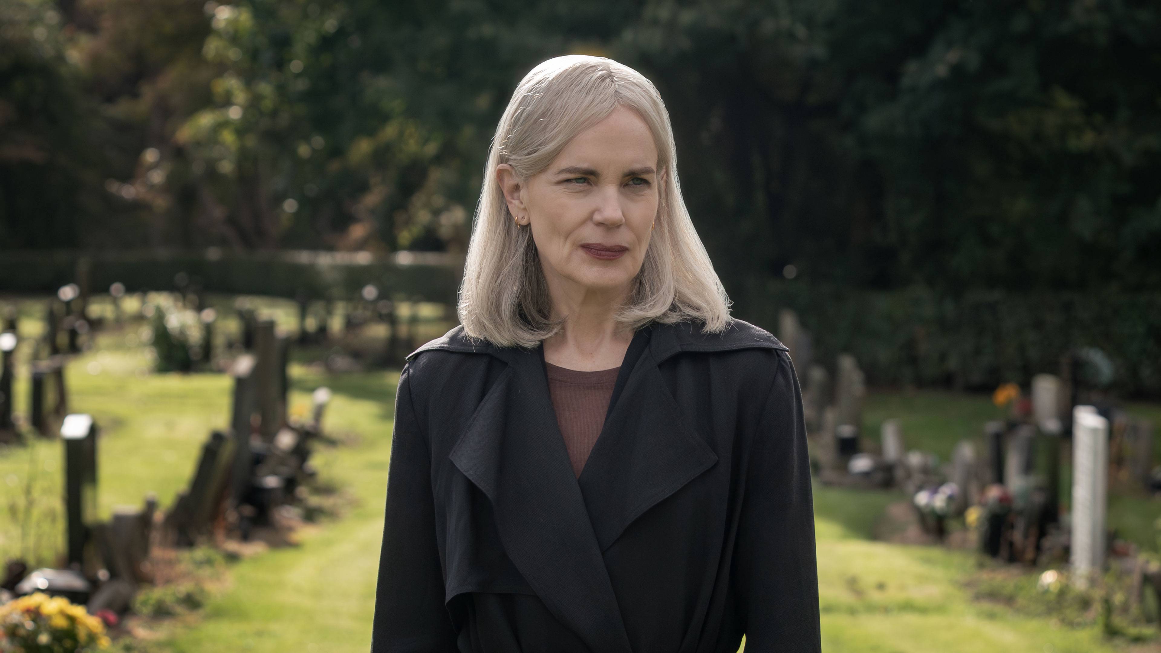 A Wilderness of Mirrors