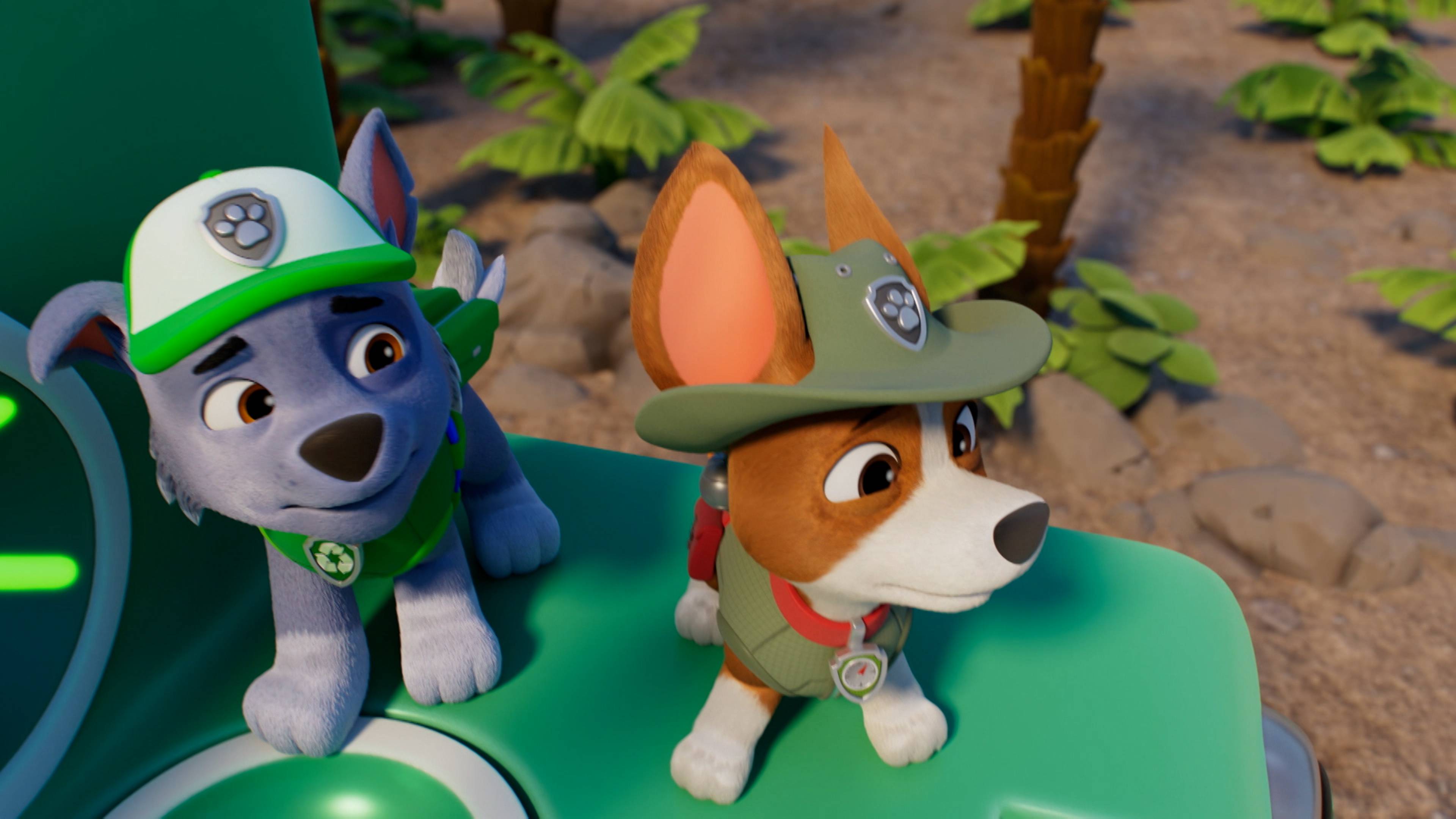 بوبس ستوب إي كوكونَت كاتابولت / بوبس سايف ...