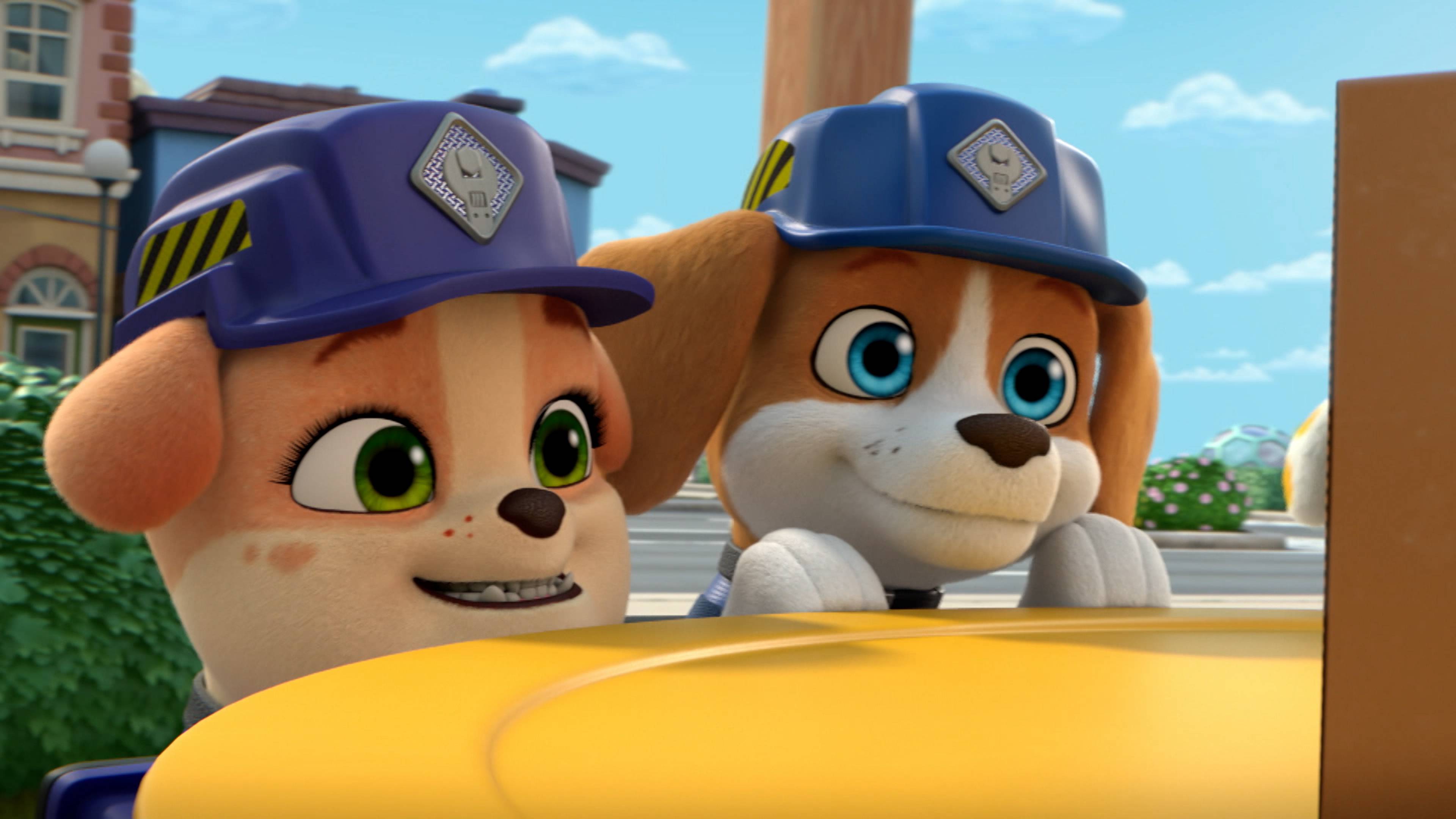 The Crew Builds A Giant Turtle House / The Crew...