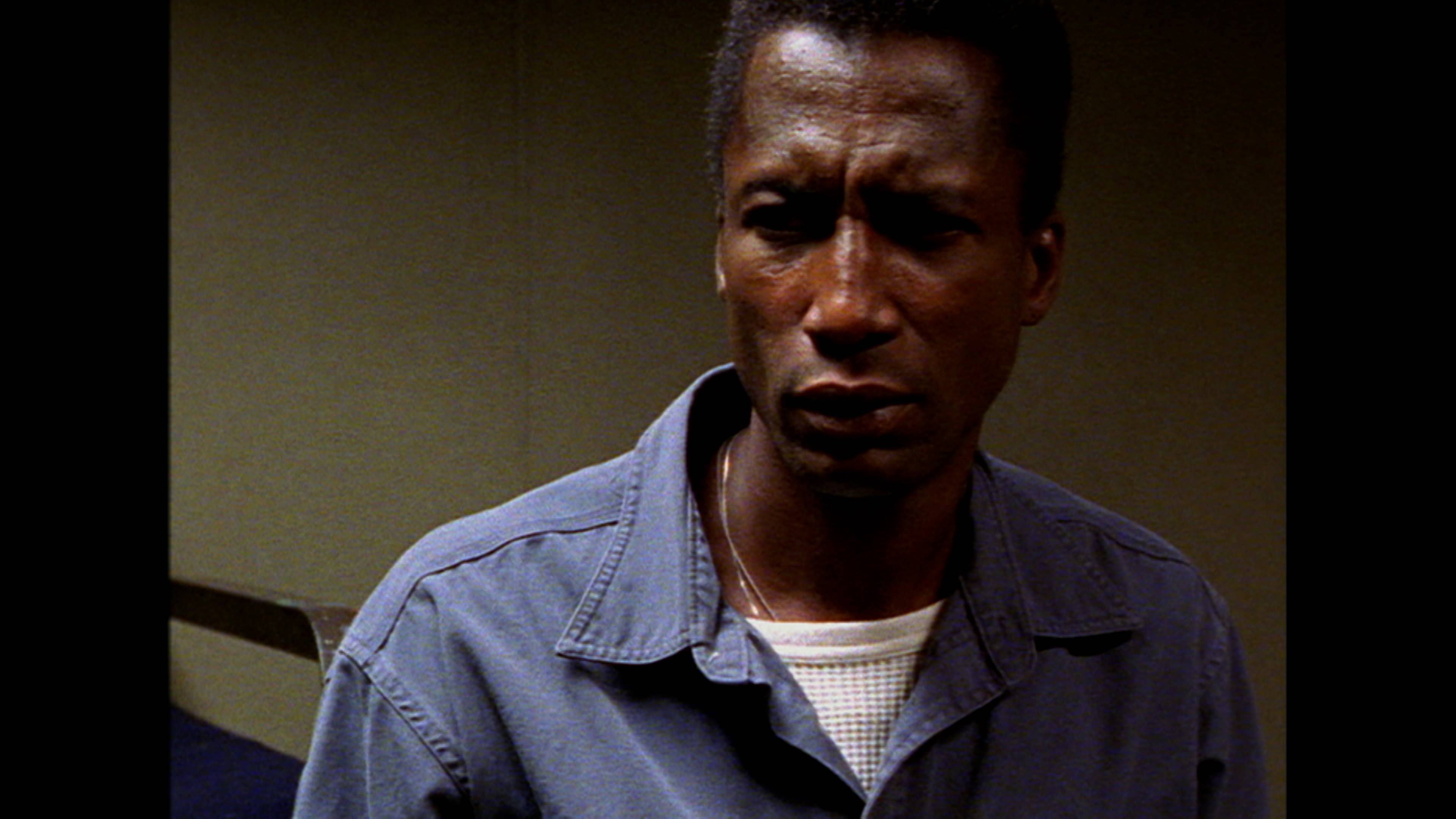 يوم التحرر...