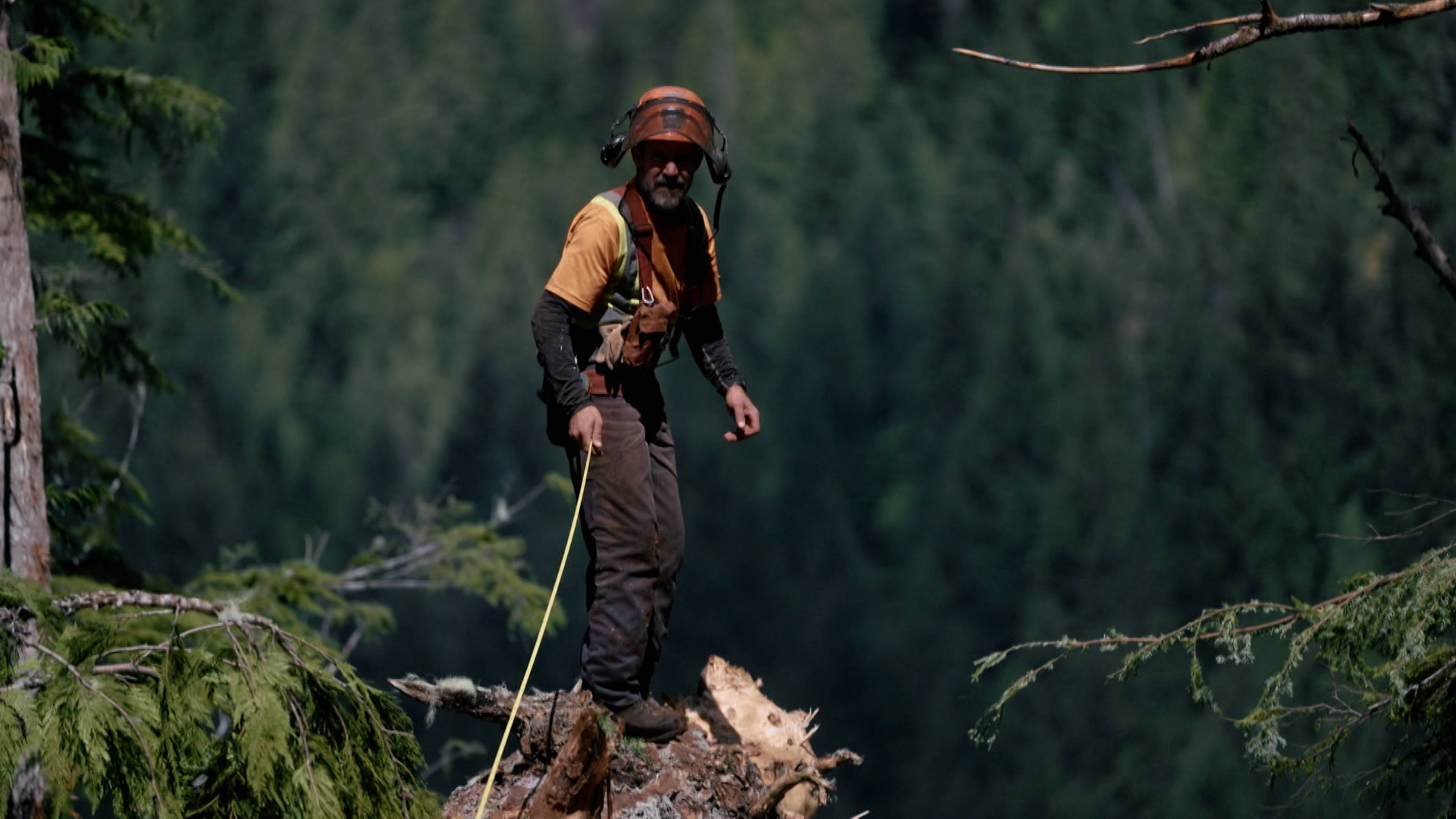 The King-Maker Claim