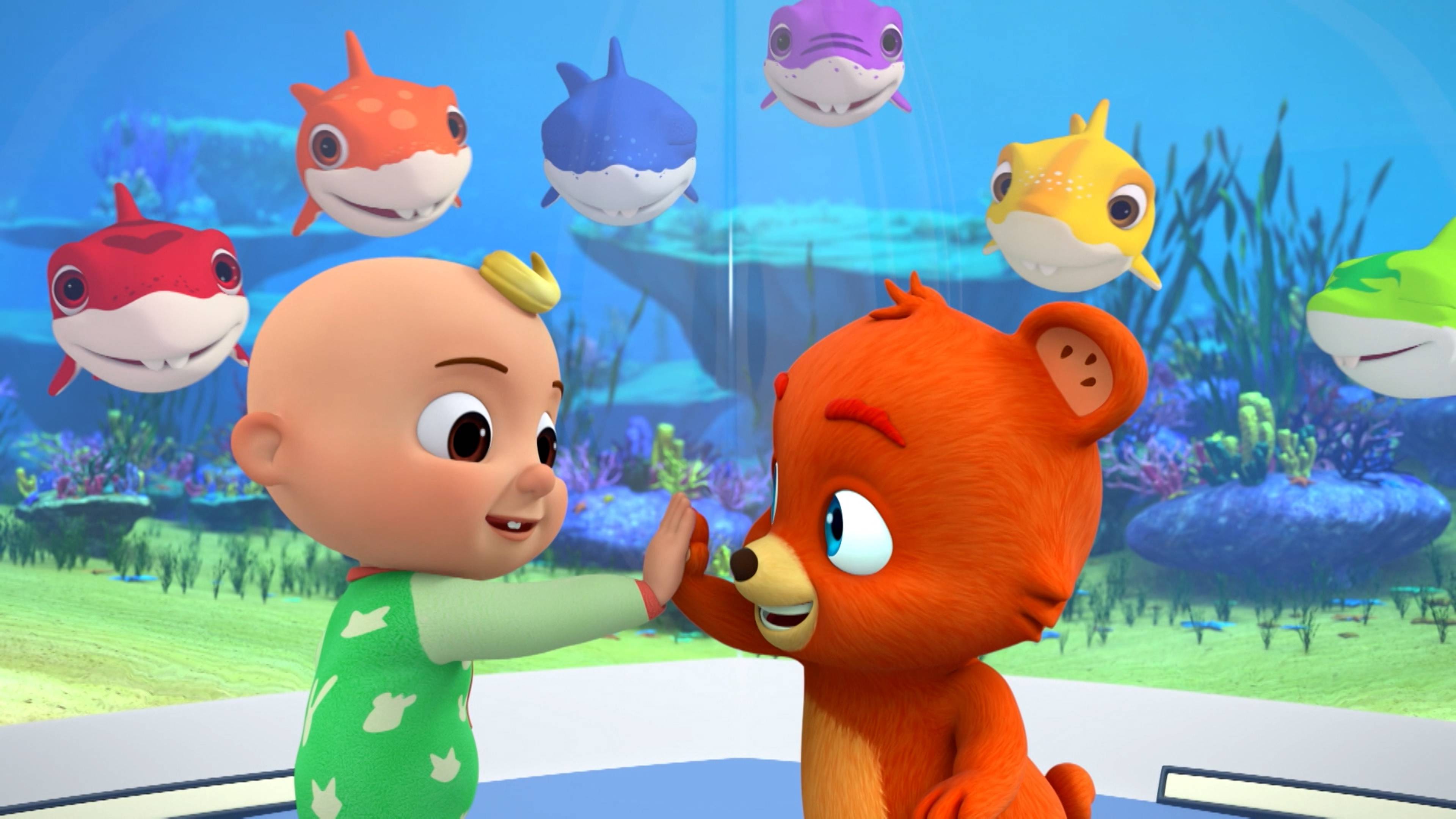 بيبي شارك - كولورز