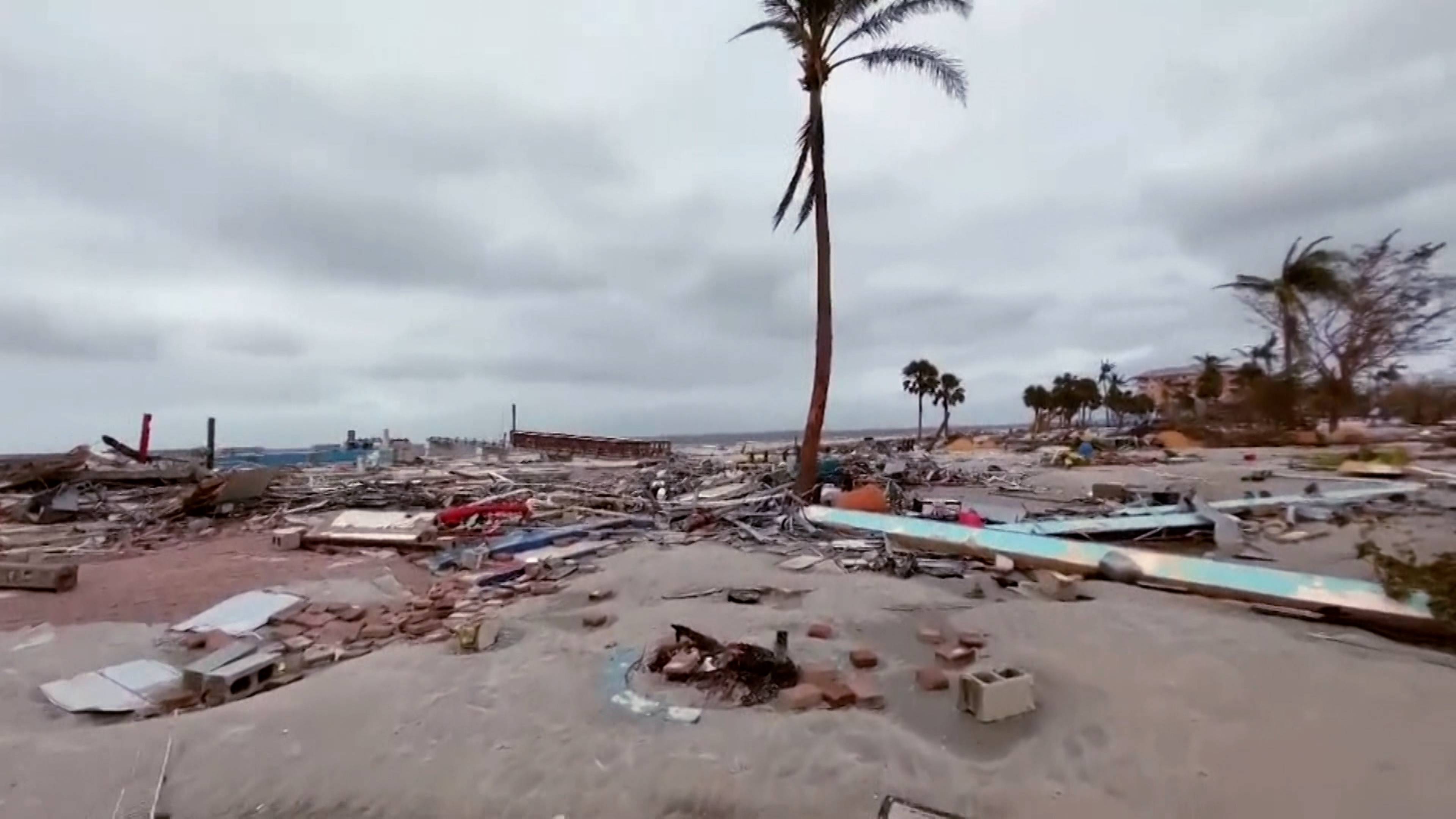 Category 5: Fight to Survive