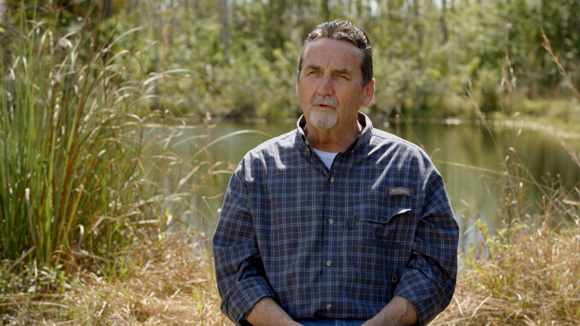 Swamp Things