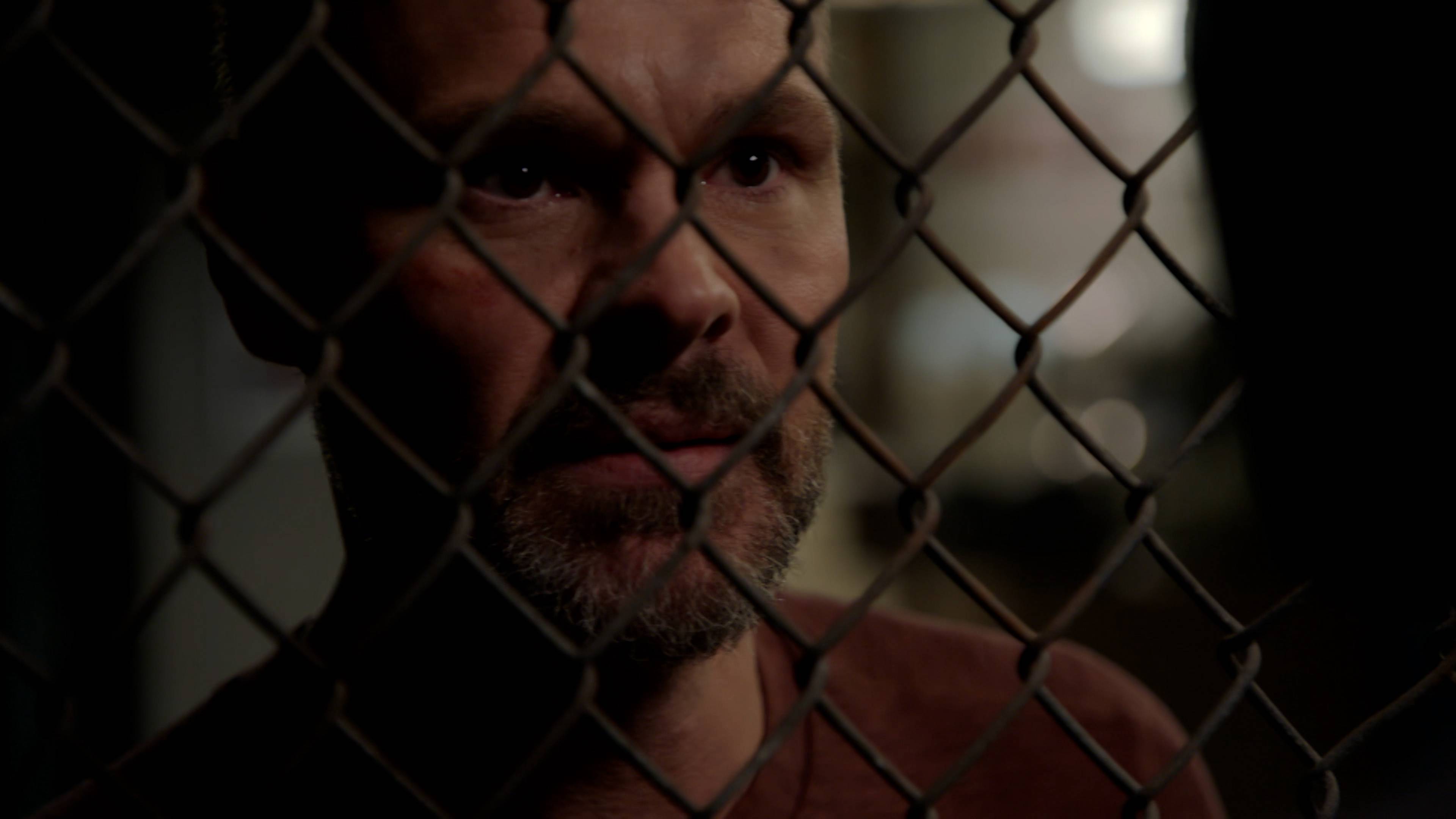 Live Or Die By Your CI