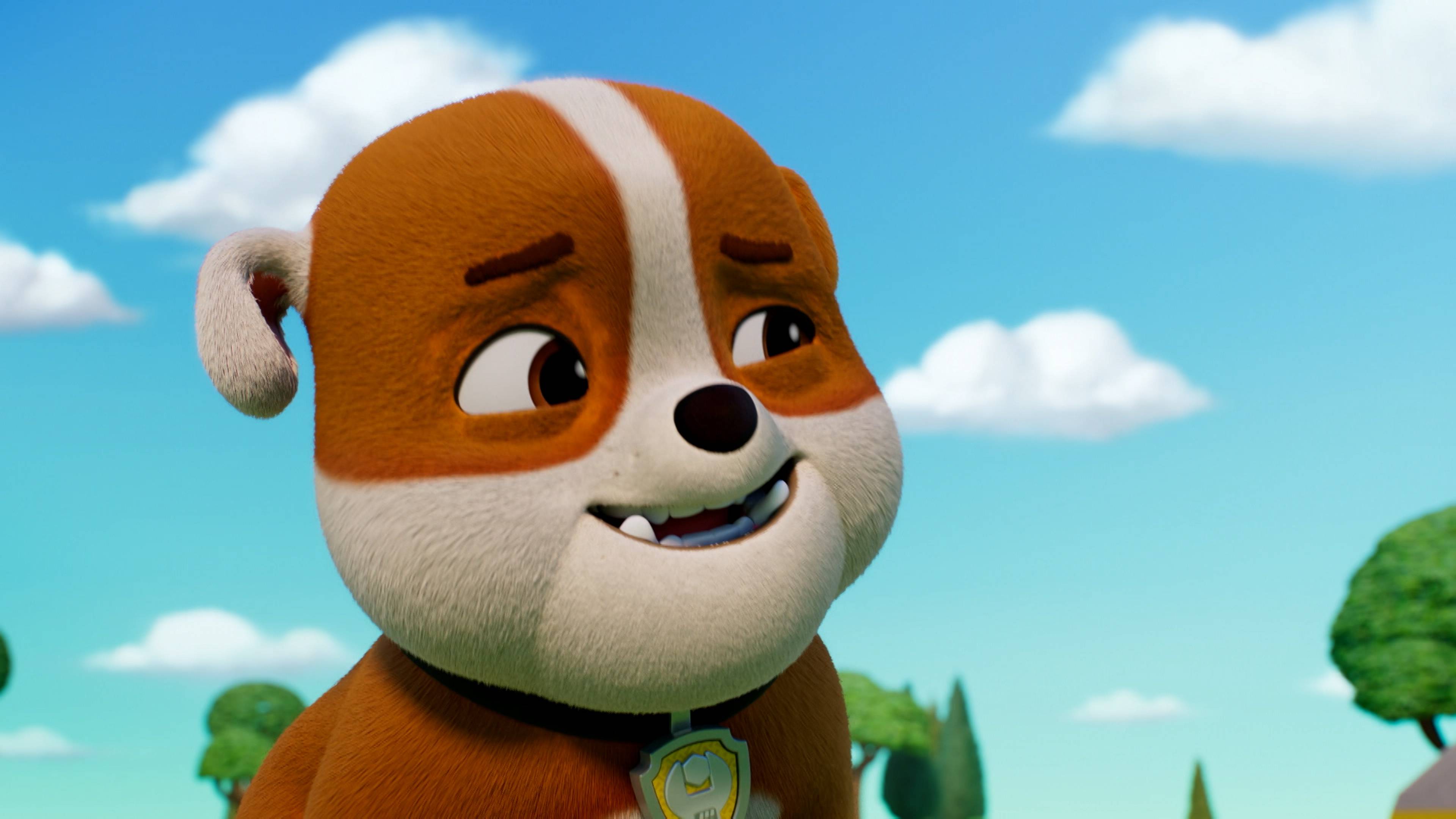 Pups Save a Goldfish / Pups Save a Flying Florist