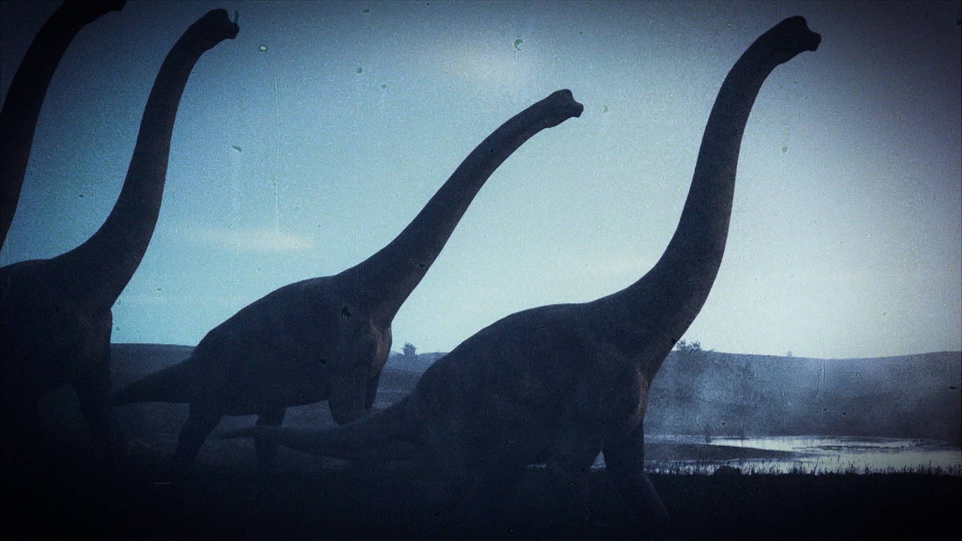 Hidden Giants