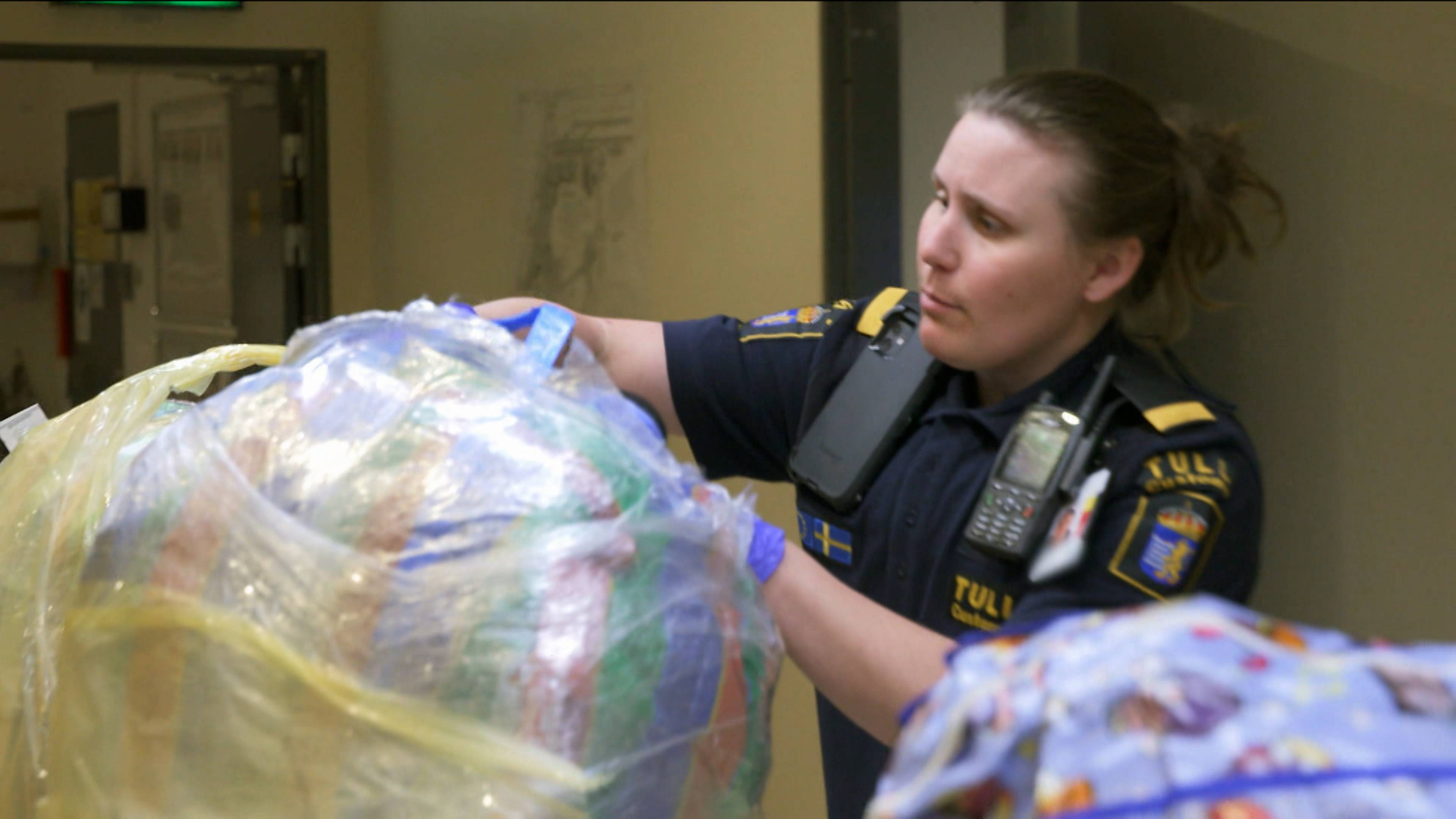 الجراء المخفية