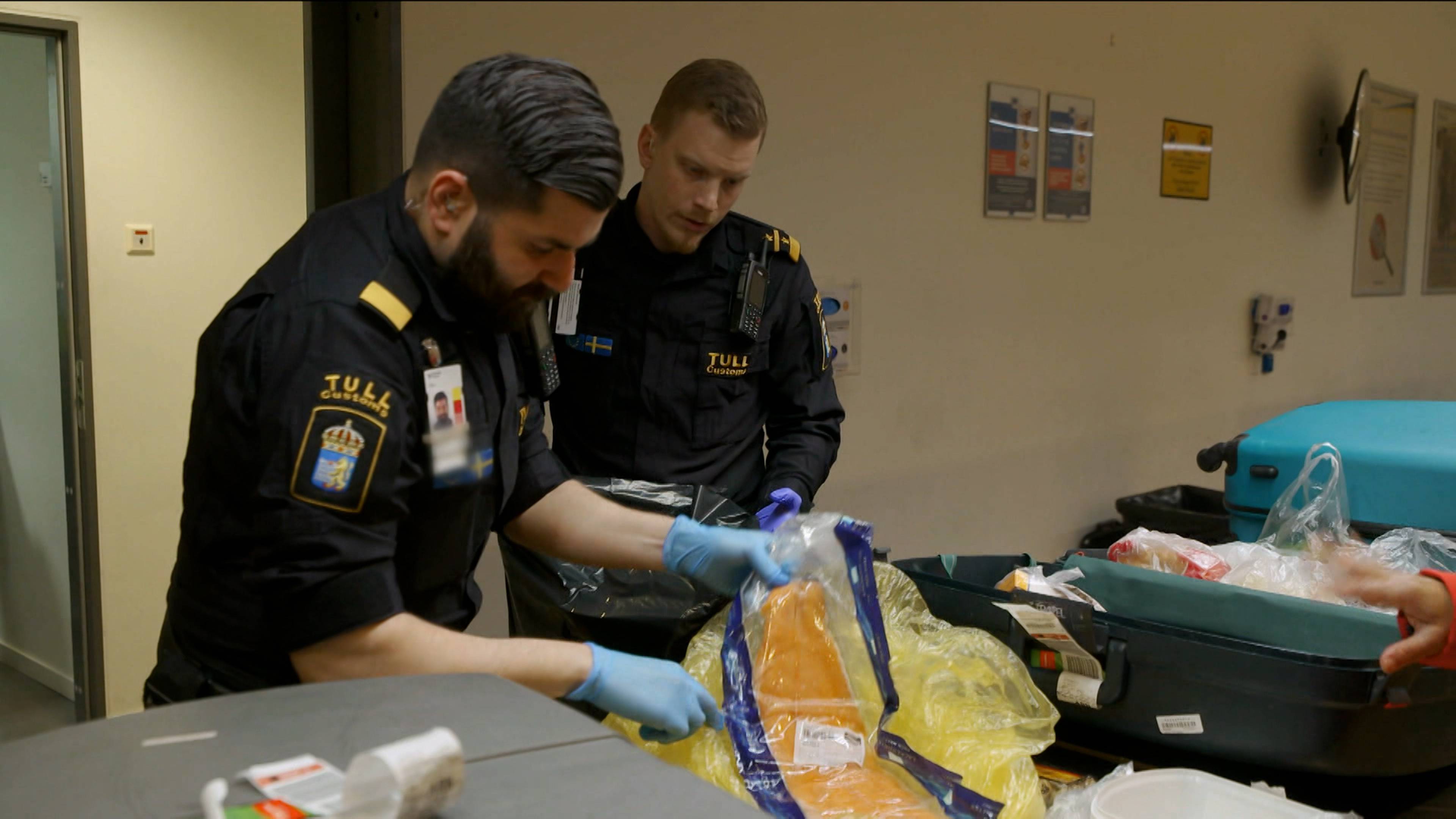 بادي يعثر على المخدرات