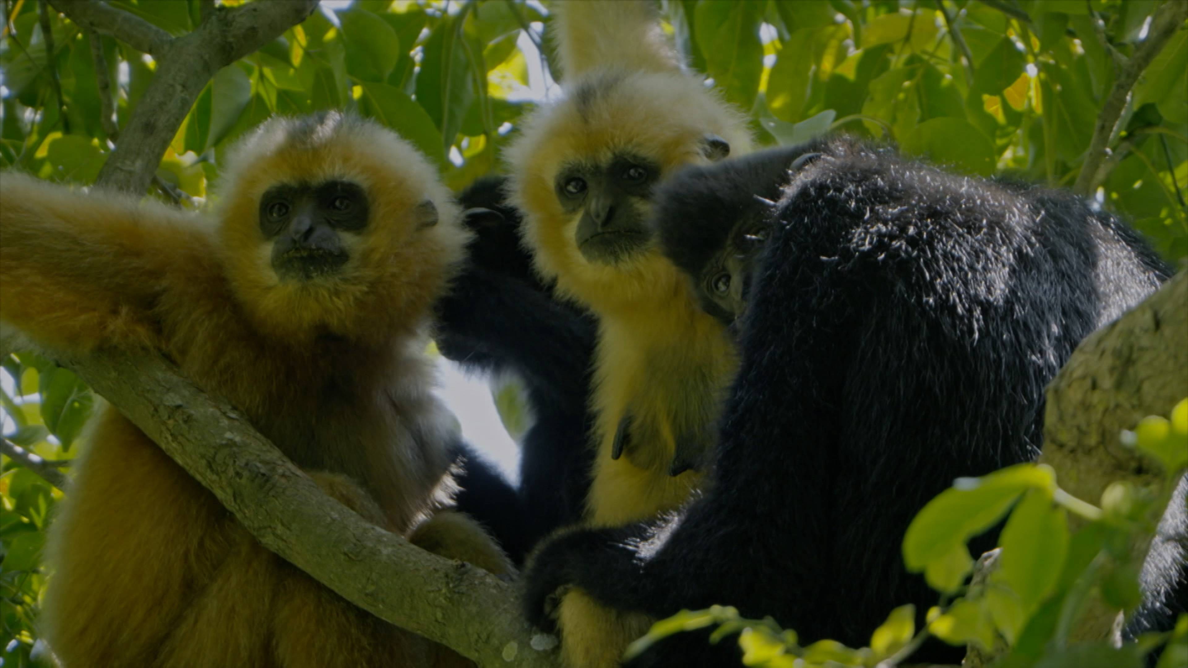 Everything is Connected