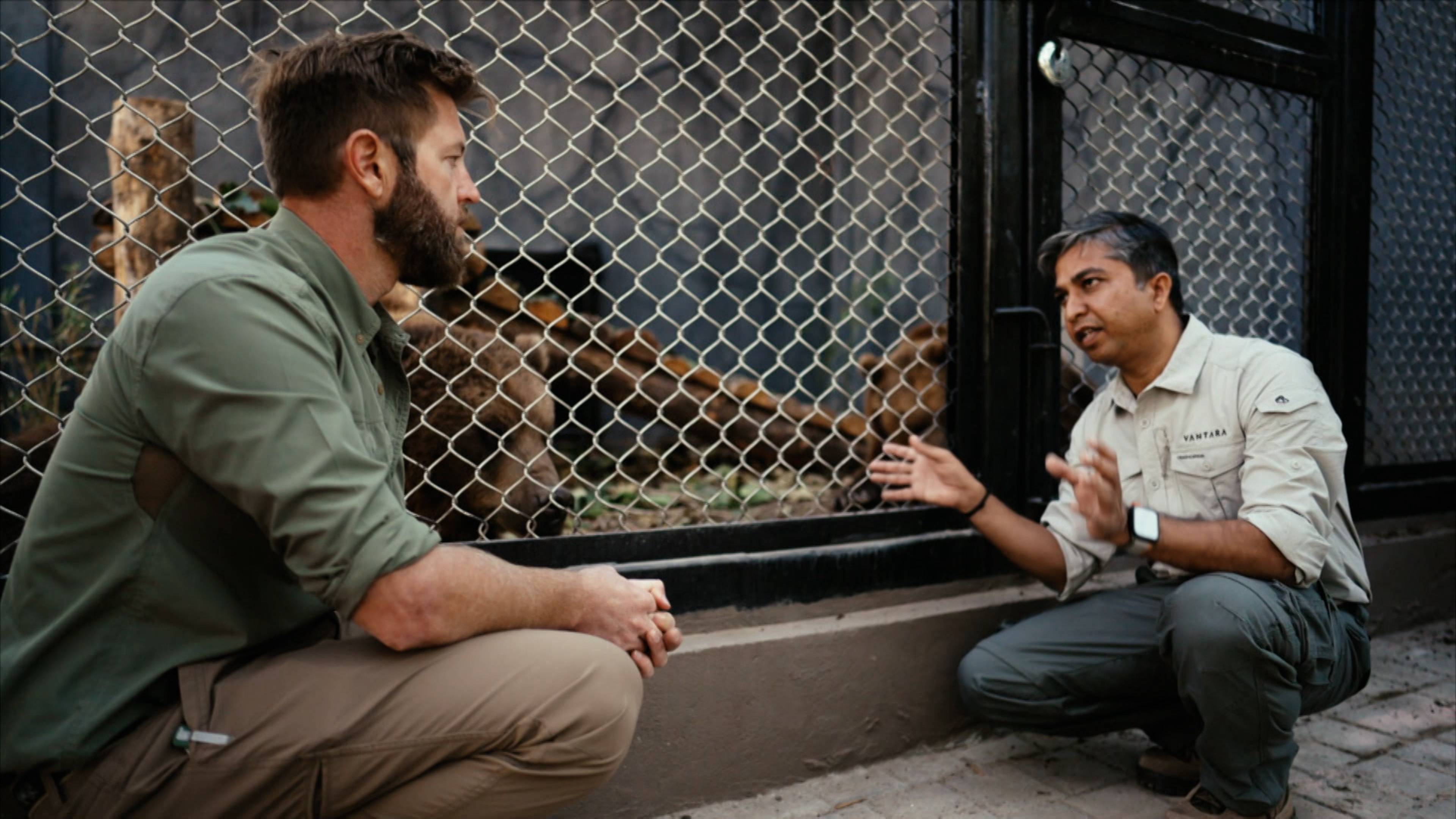 Building a Sanctuary