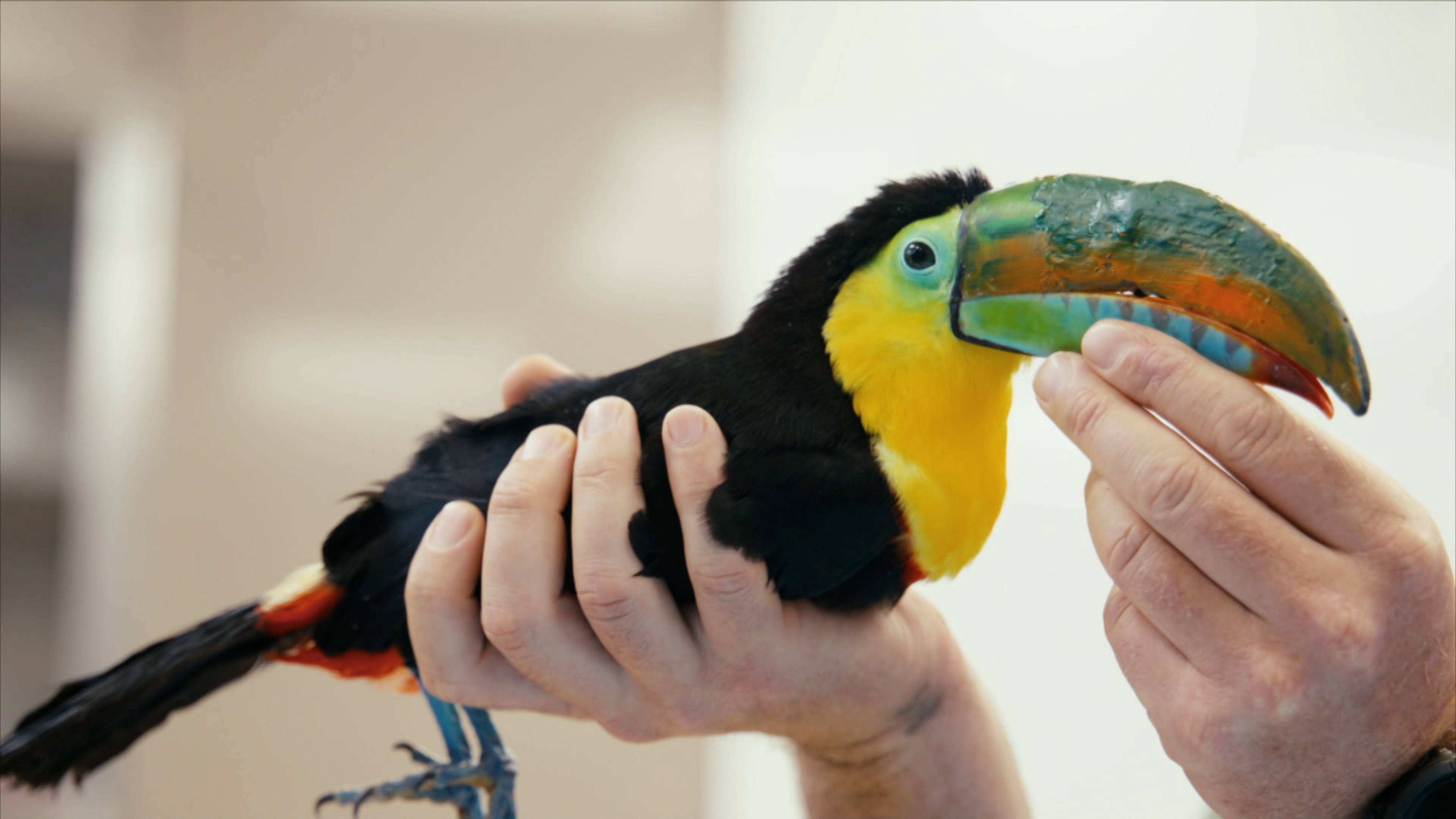 Prescriptions and Provisions