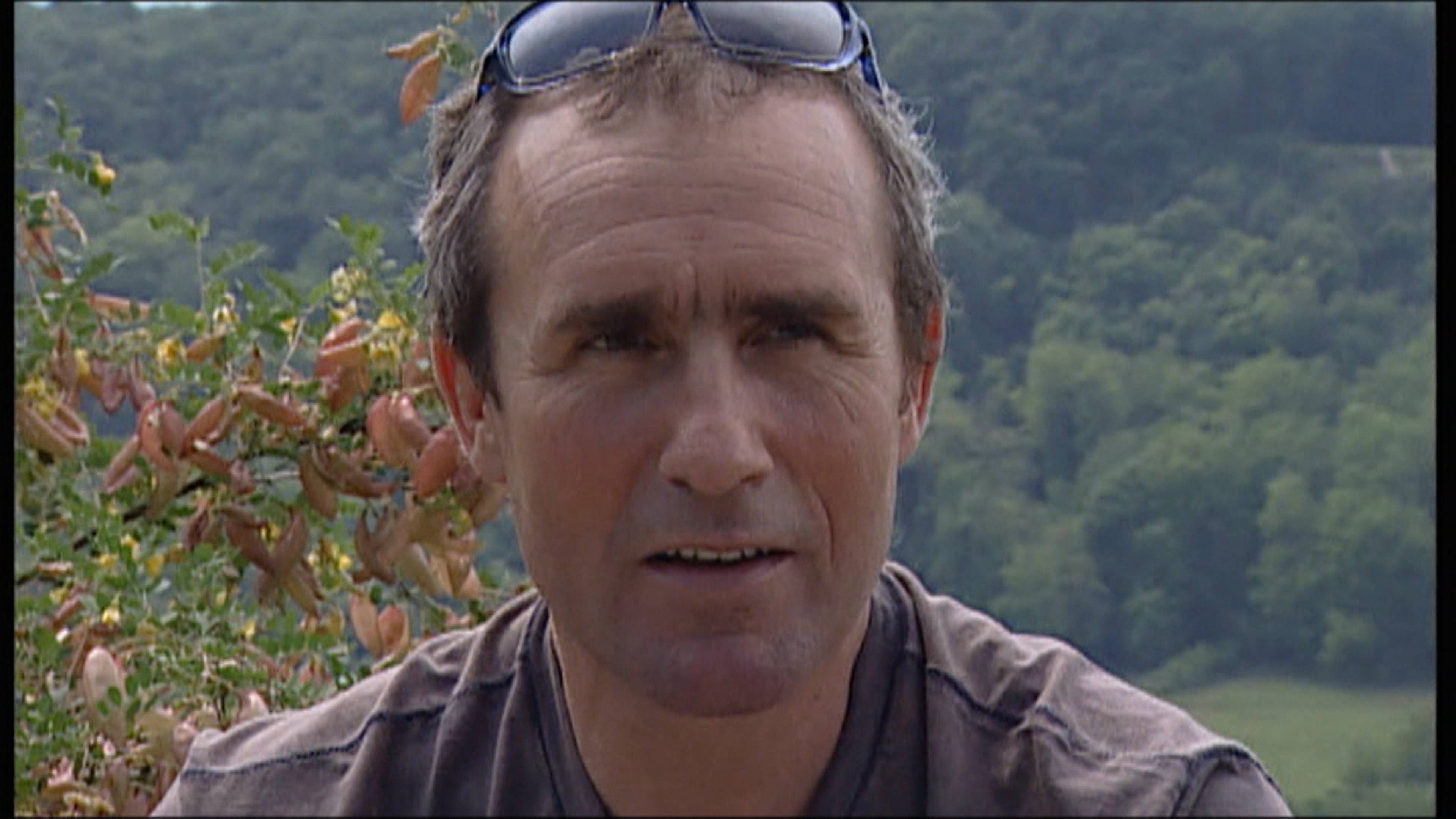 ستيفان بيترهانسل