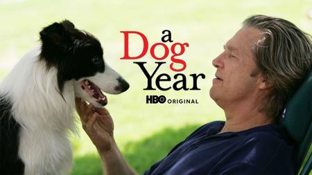 A Dog Year