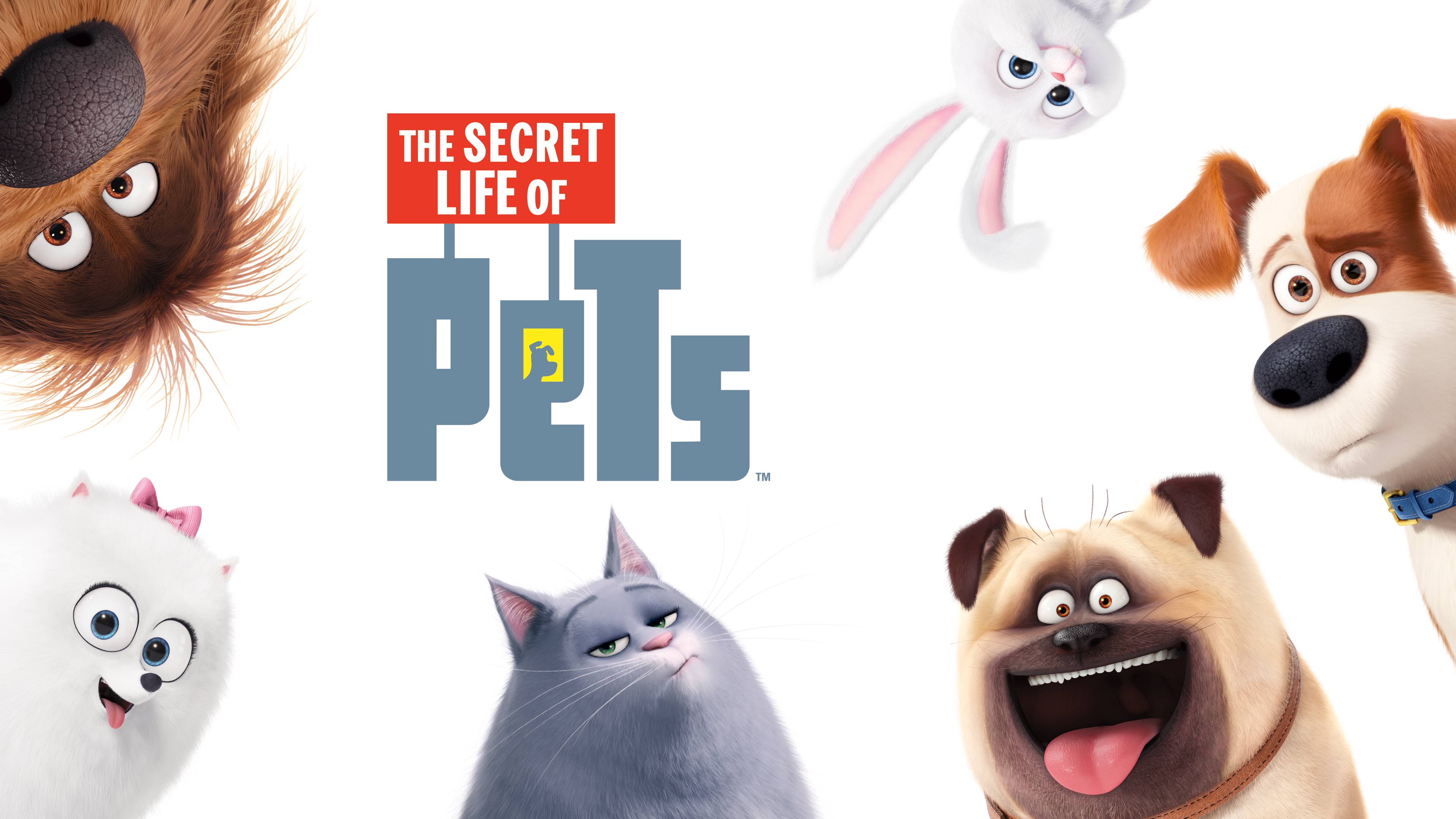 Watch The Secret Life Of Pets Online | Available in HD on OSN+