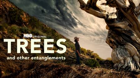 Trees and Other Entanglements - Coming Soon