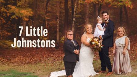 7 Little Johnstons