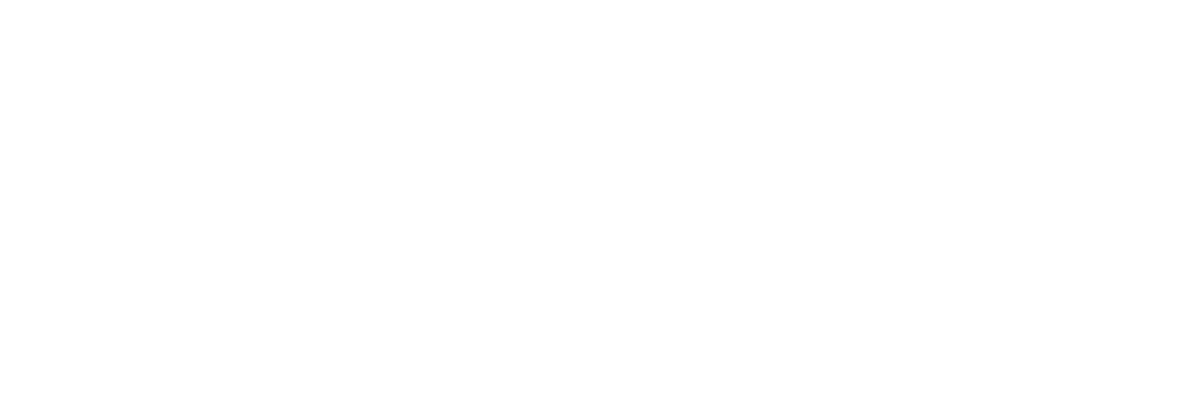 The Necessary Death Of Charlie Countryman movie logo