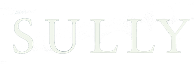 Watch Sully movie Online on OSN+