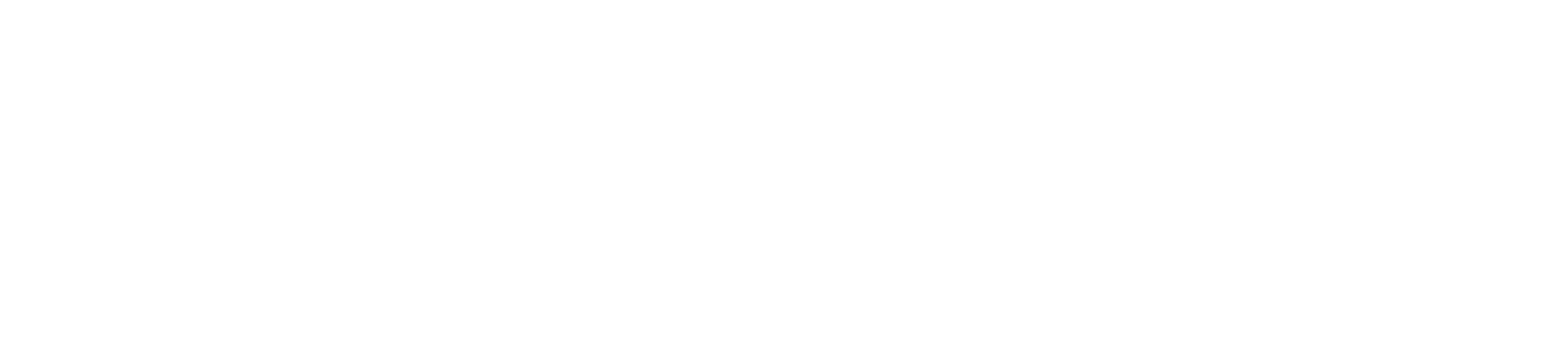 نيتيف صن movie logo