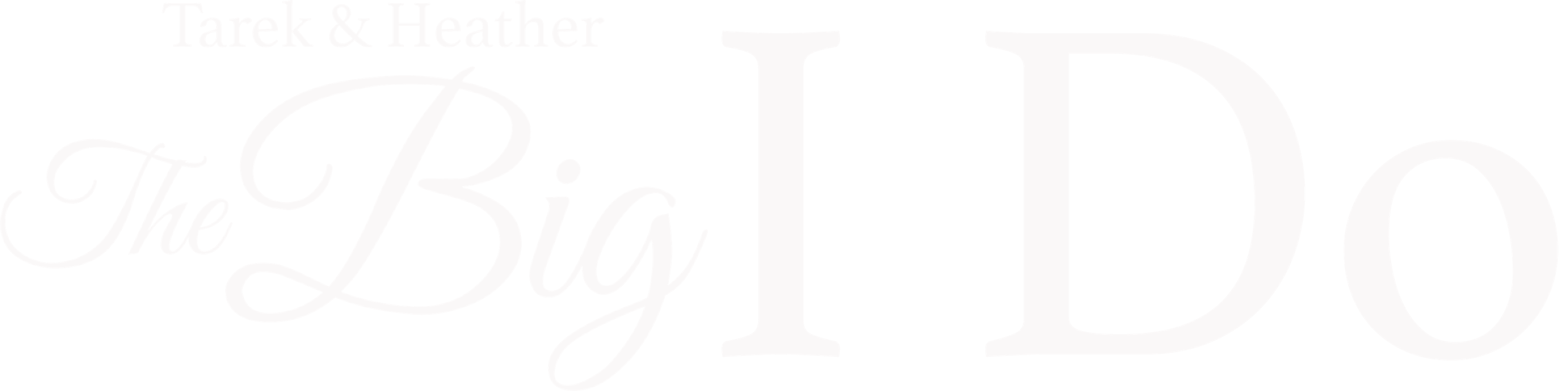 Tarek And Heather: The Big I Do movie logo