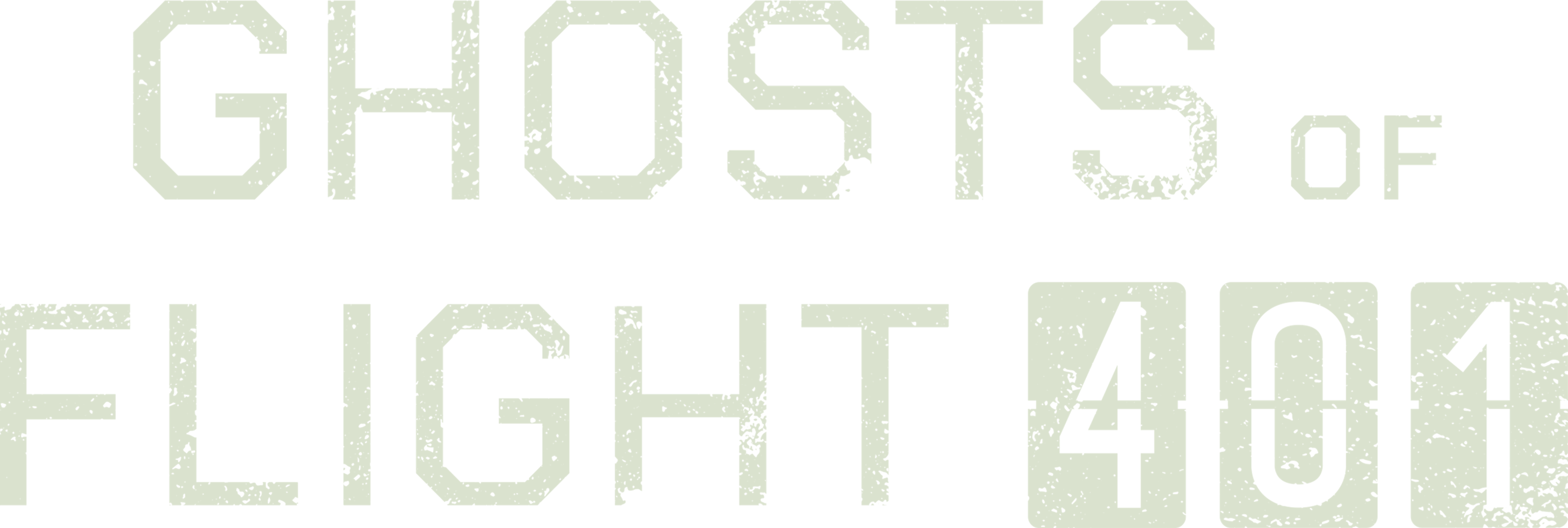 Ghosts Of Flight 401 movie logo