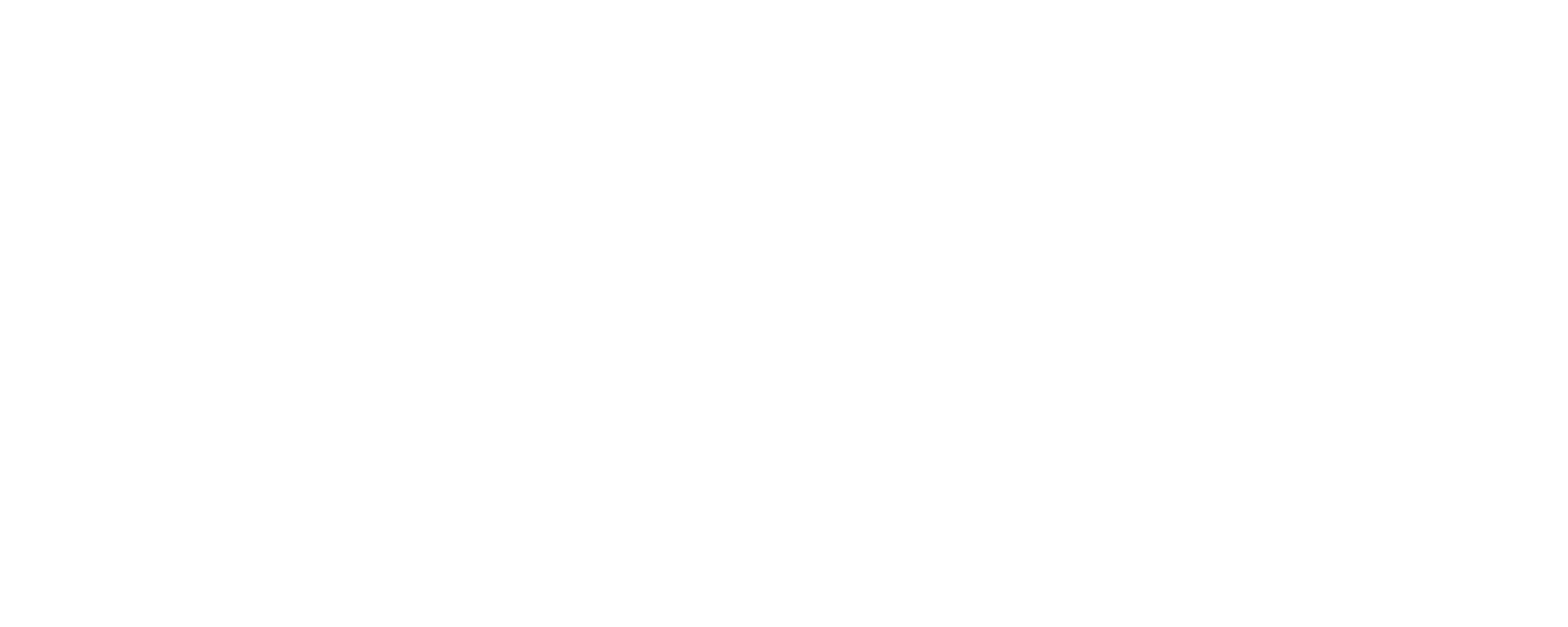 The Ringleader: The Case of the Bling Ring movie logo