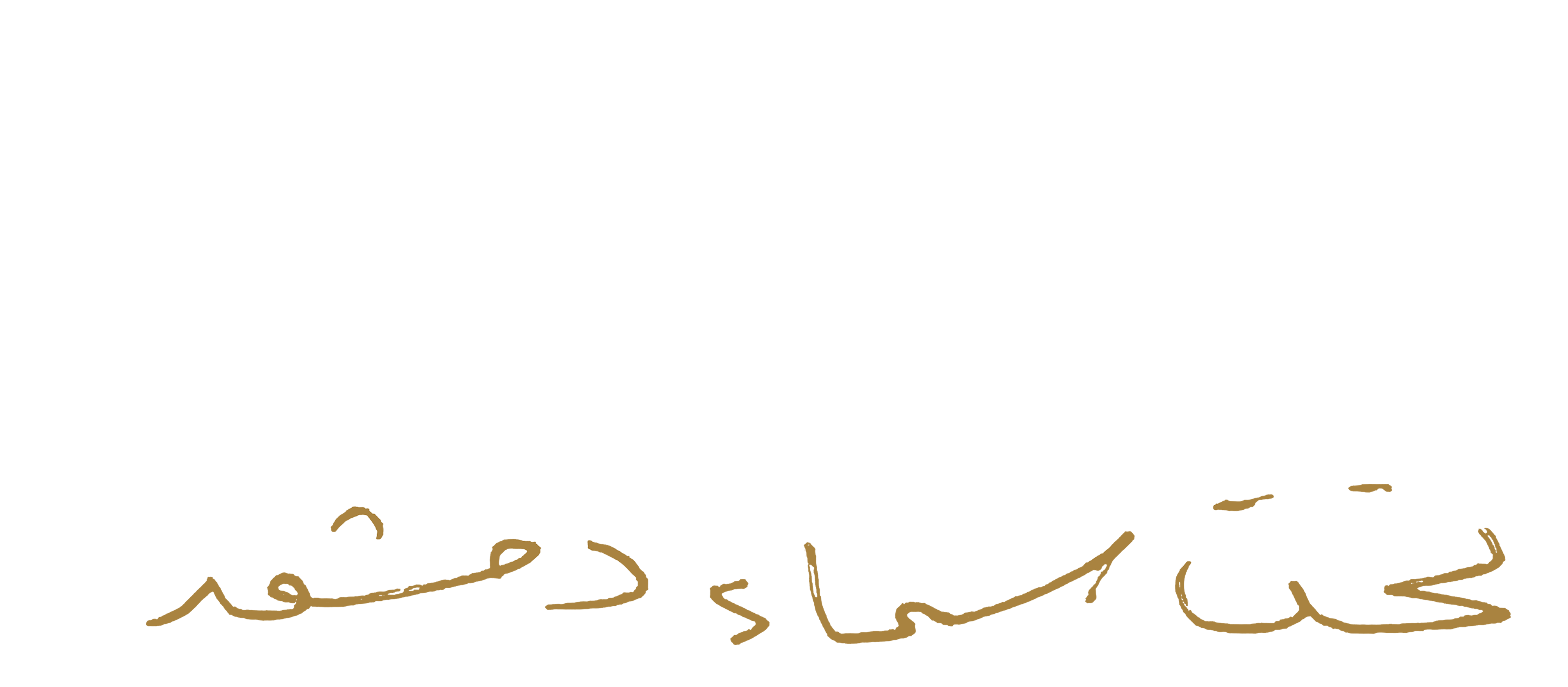 Under The Sky Of Damascus movie logo