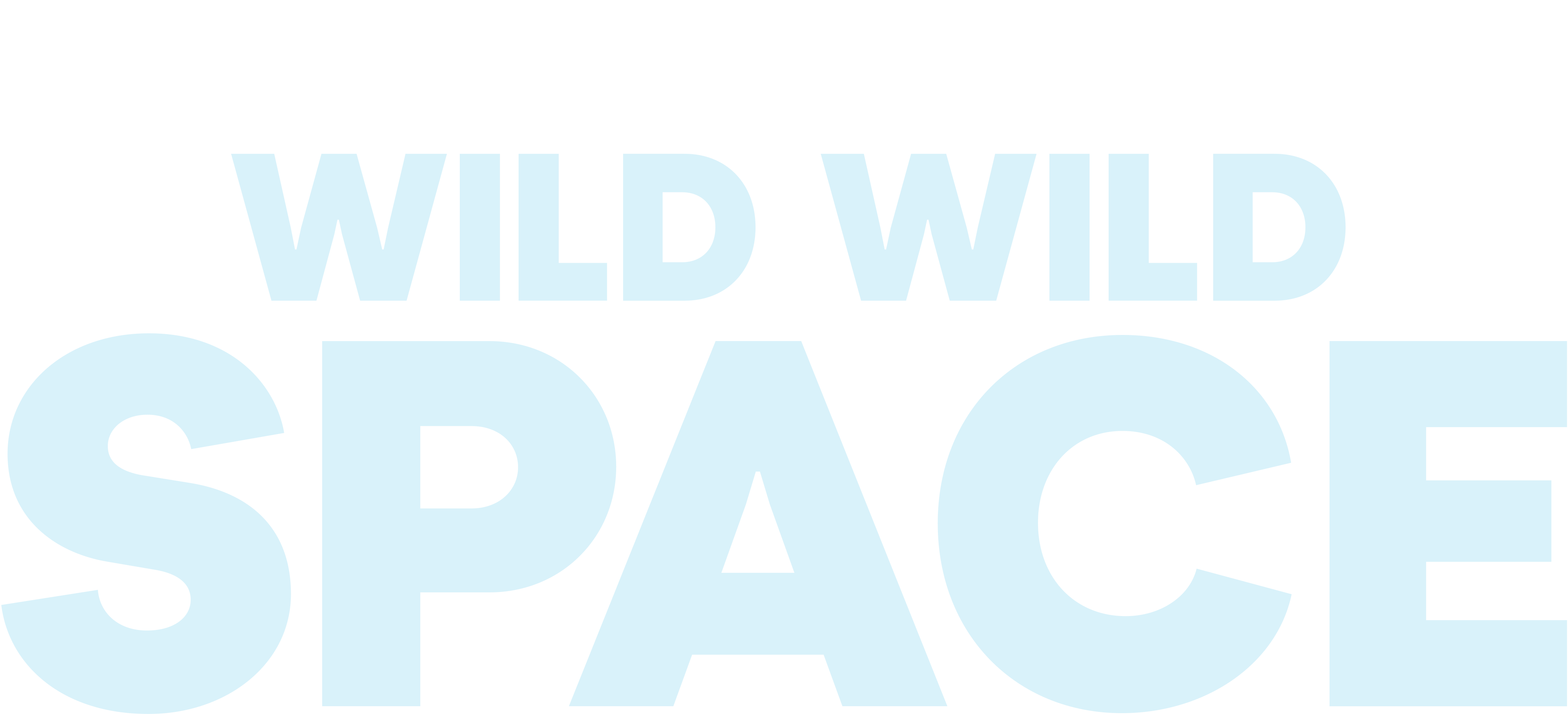 Wild Wild Space movie logo