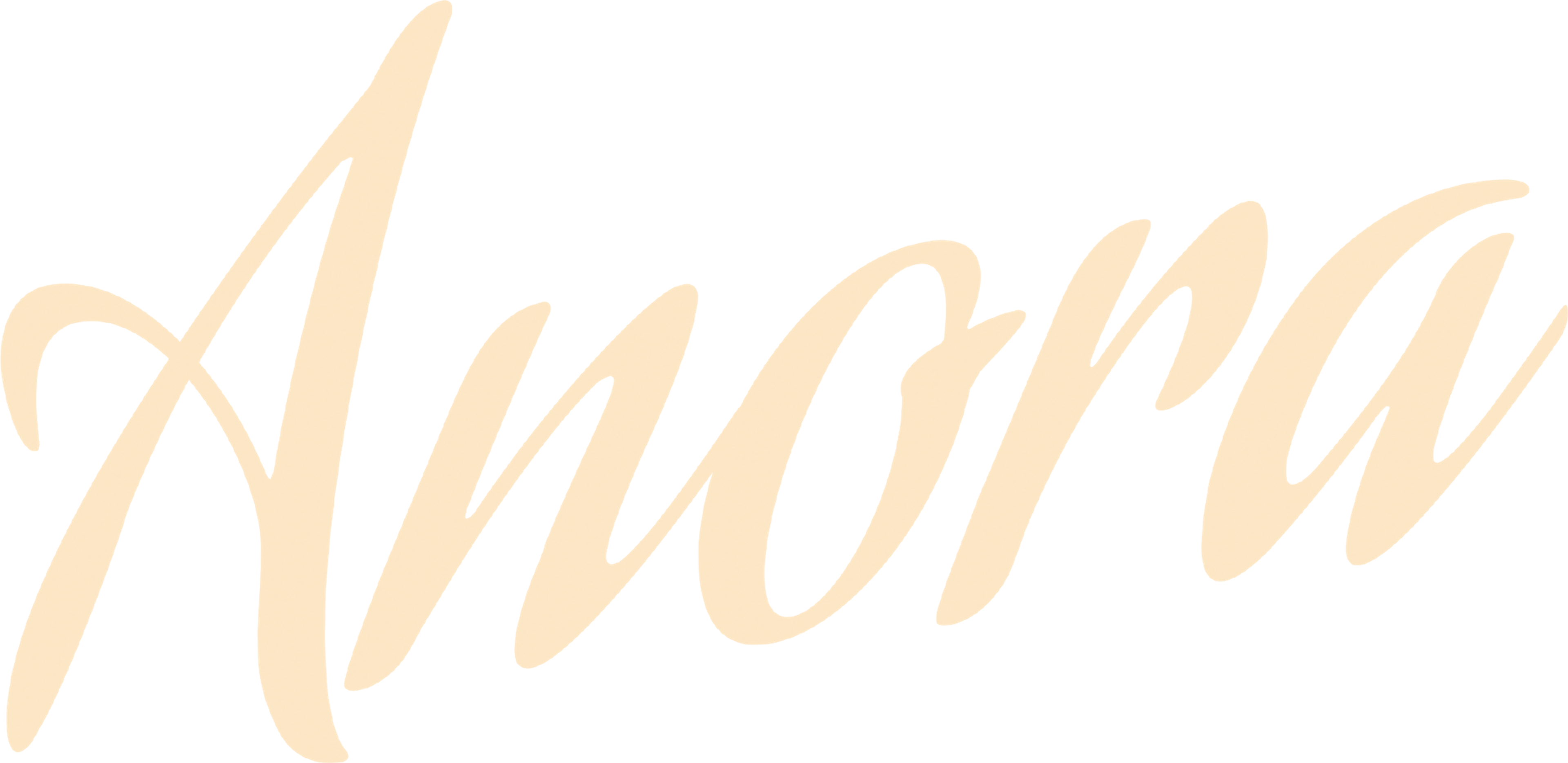 Anora movie logo