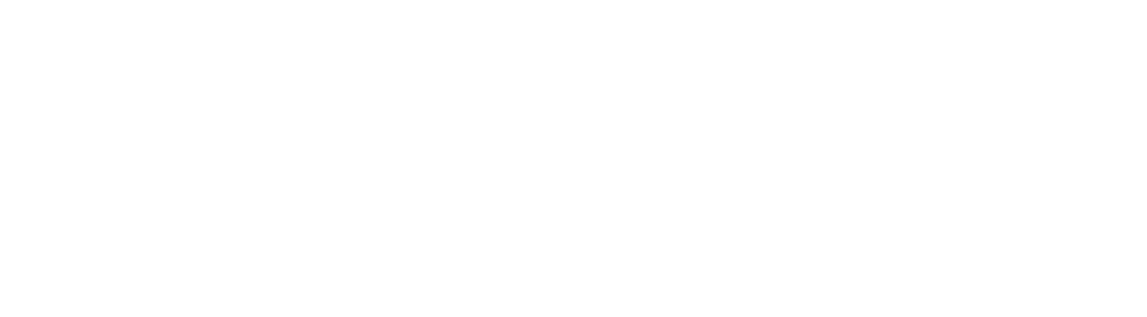 Chasing Winter movie logo